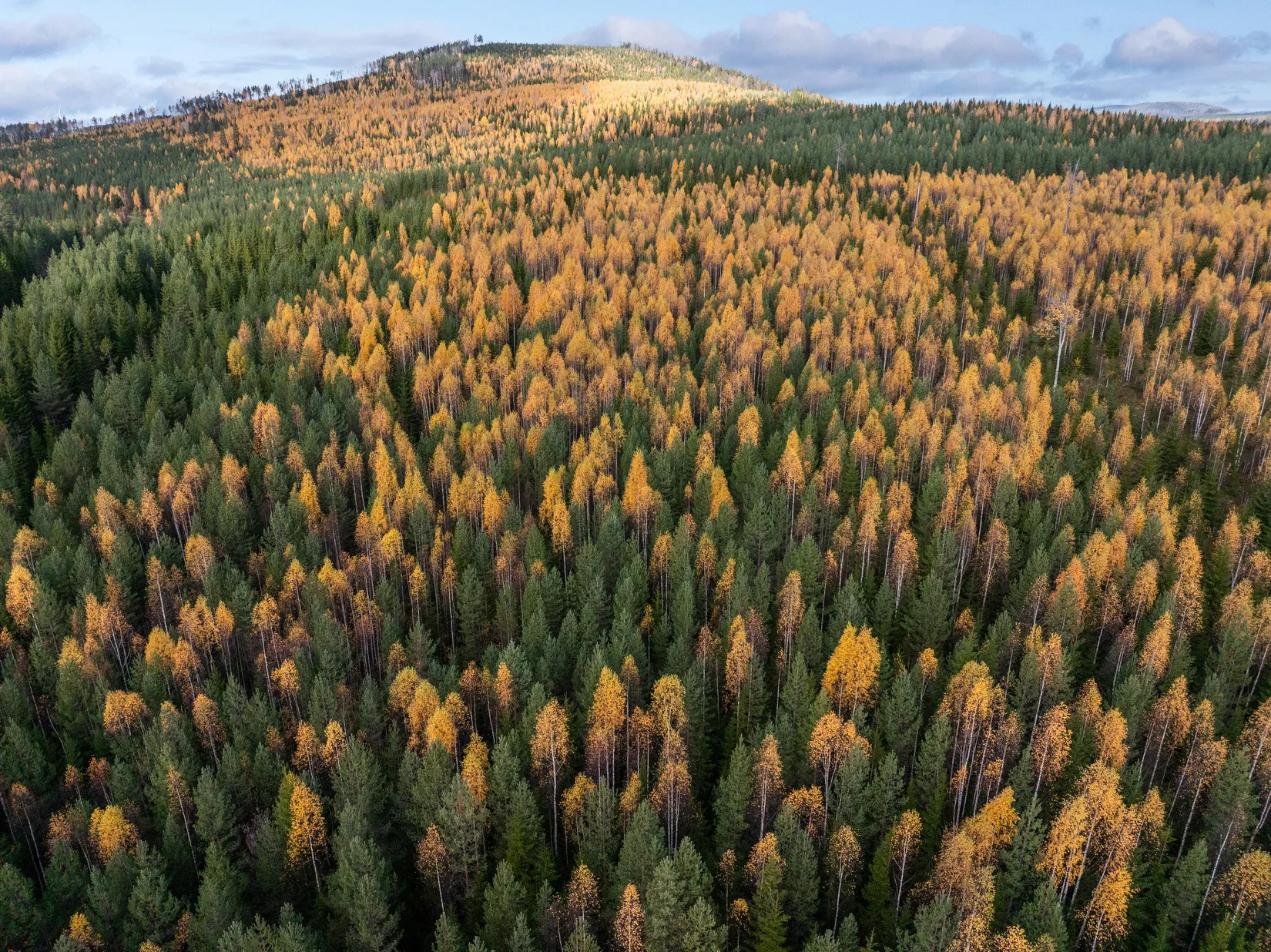 Gård/Skog, Säter 189, Säter, Ånge