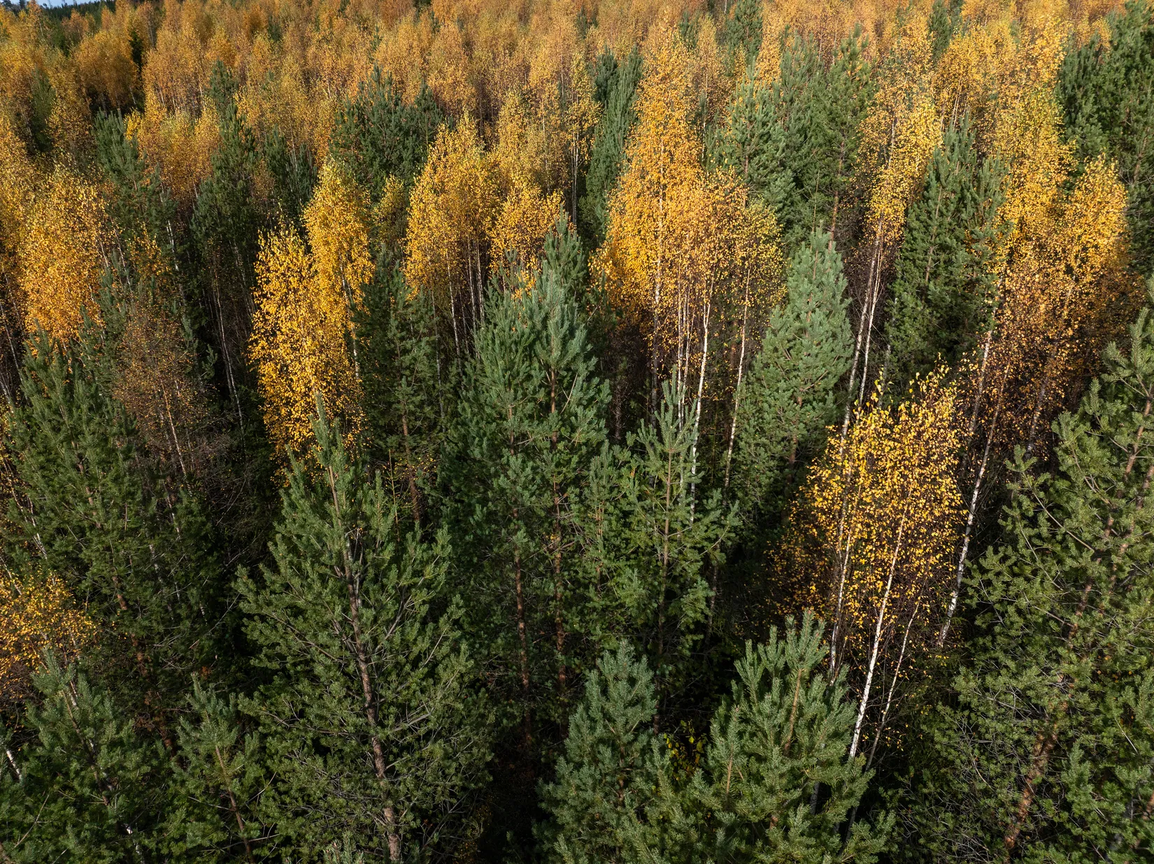 Gård/Skog, Säter 189, Säter, Ånge