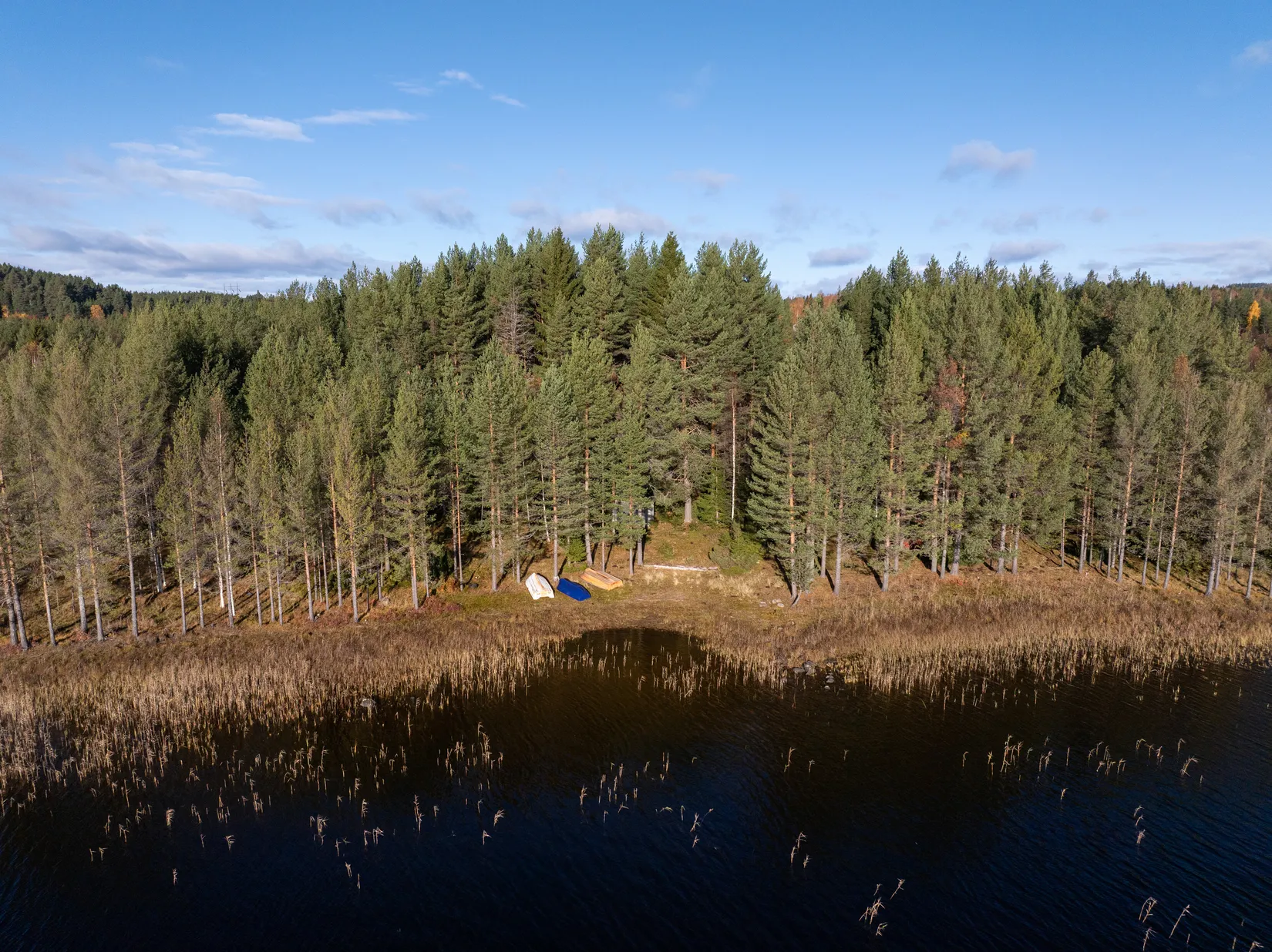 Gård/Skog, Säter 189, Säter, Ånge