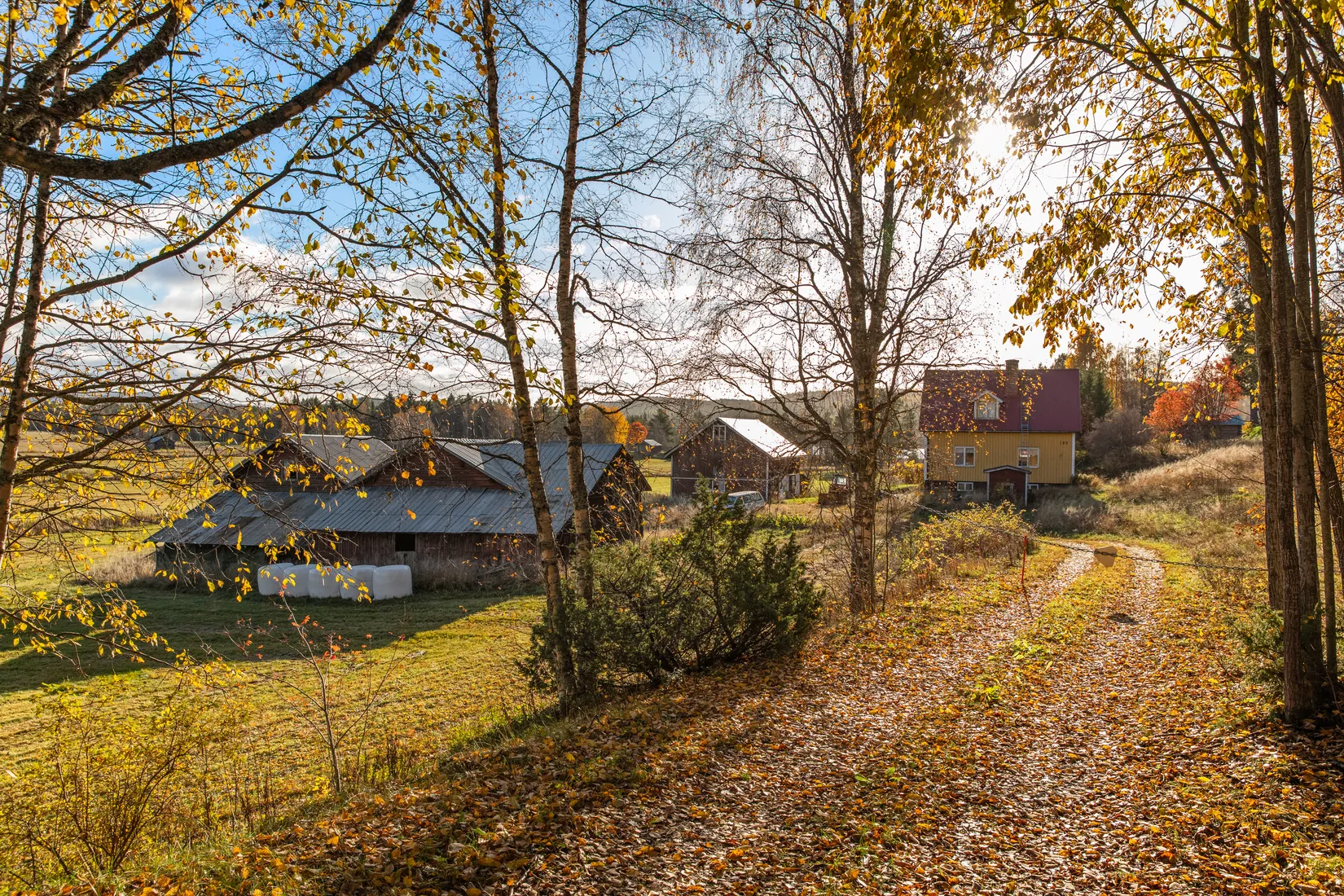 Gård/Skog, Säter 189, Säter, Ånge