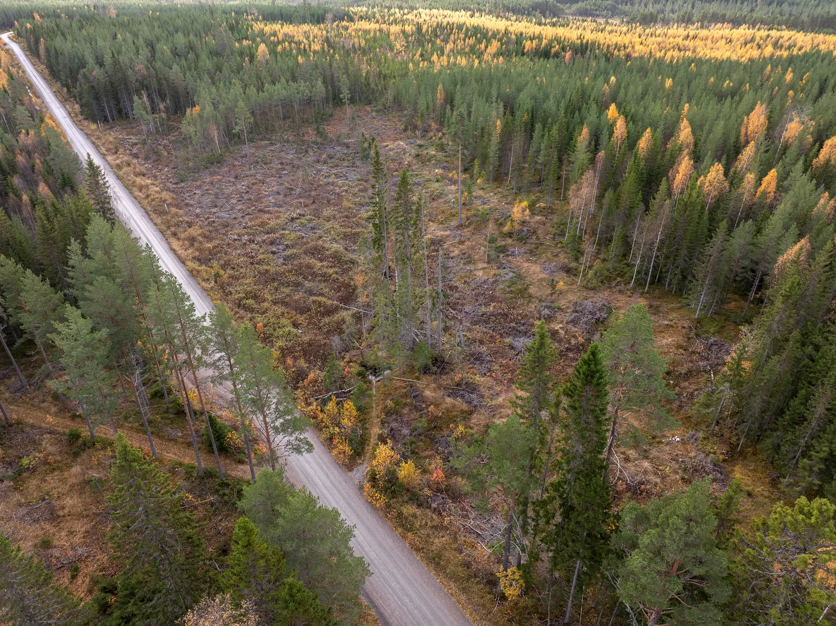 Gård/Skog, Säter 189, Säter, Ånge
