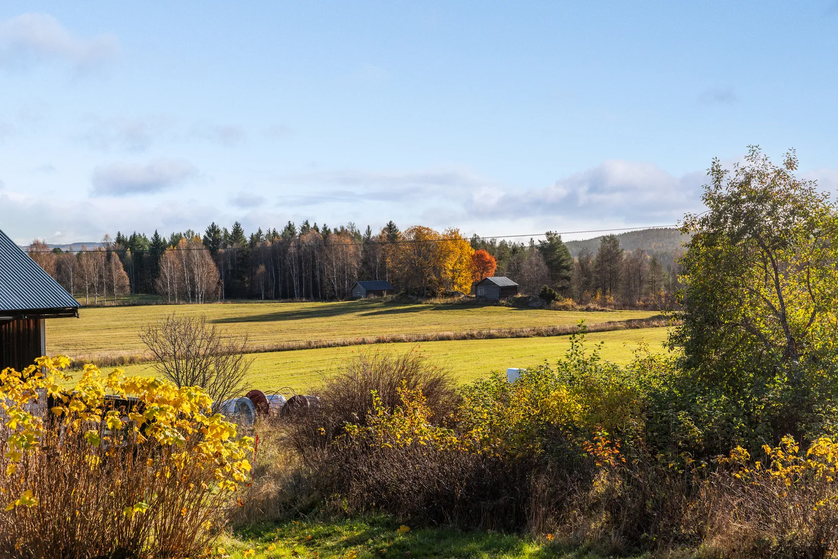 Gård/Skog, Säter 189, Säter, Ånge