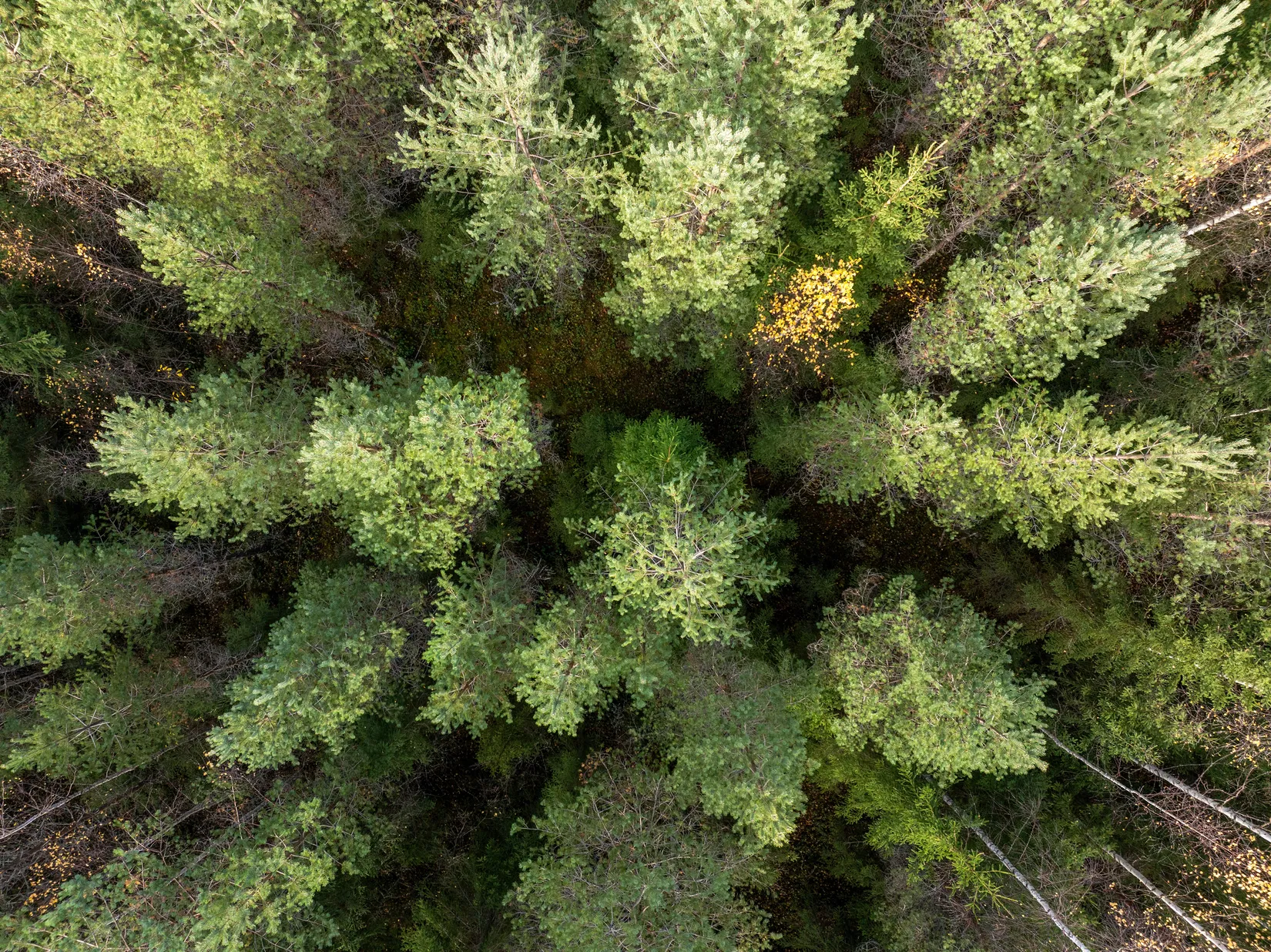 Gård/Skog, Säter 189, Säter, Ånge