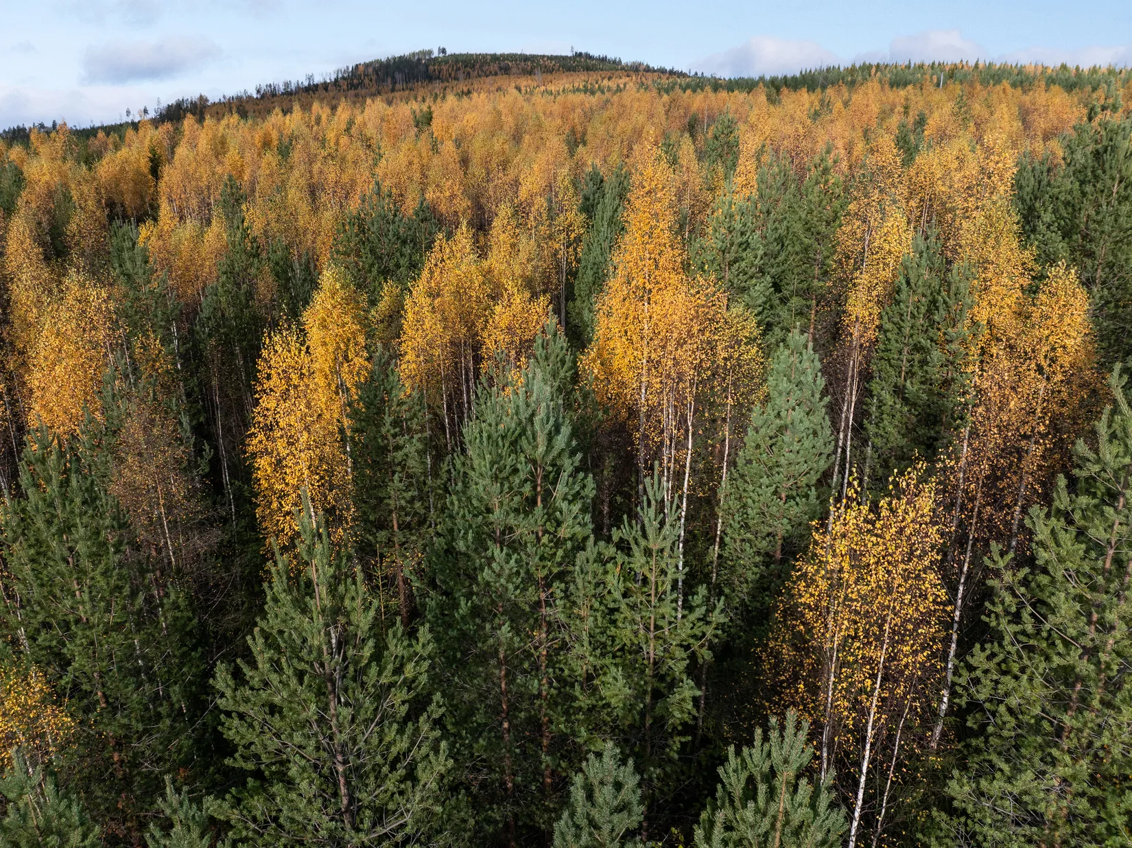 Gård/Skog, Säter 189, Säter, Ånge
