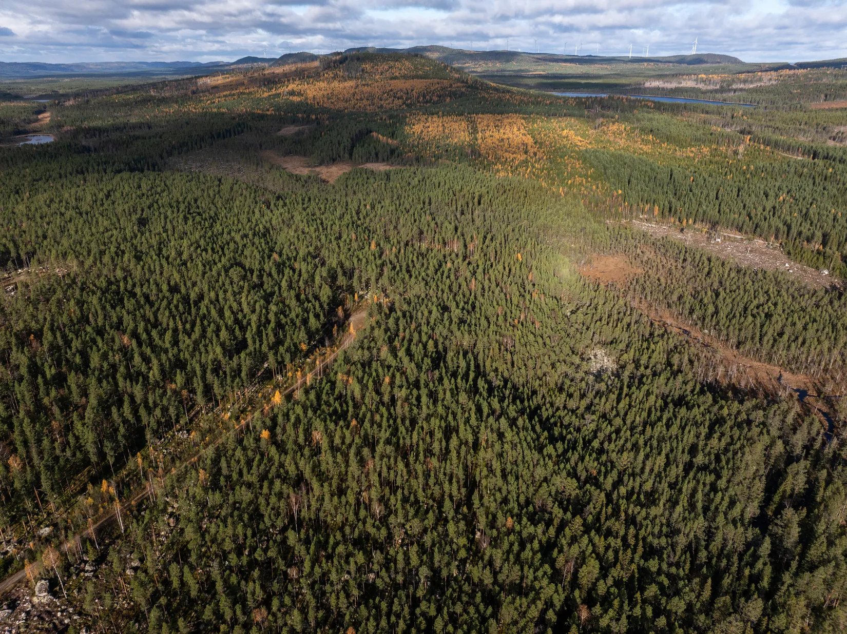 Gård/Skog, Säter 189, Säter, Ånge