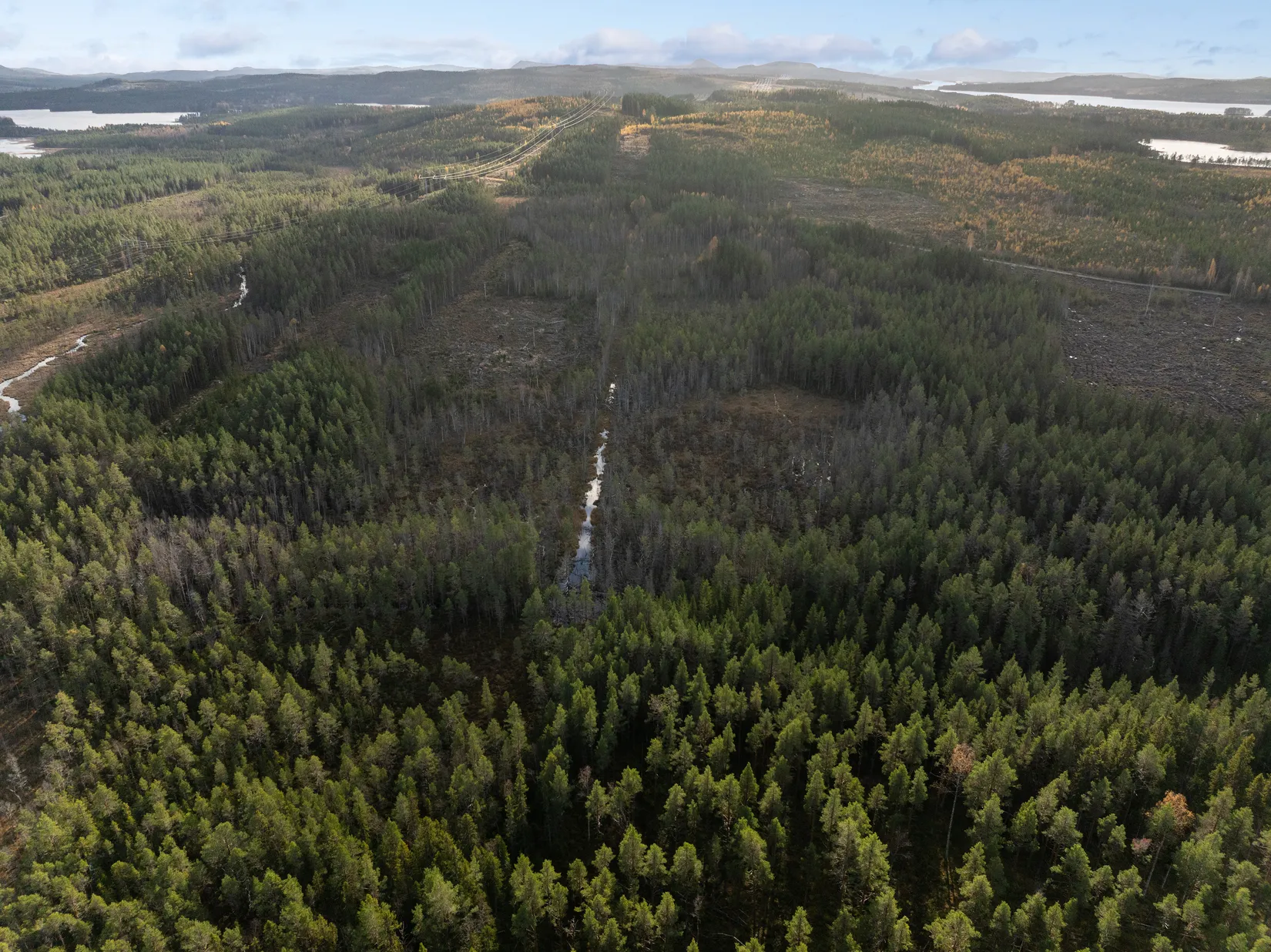 Gård/Skog, Säter 189, Säter, Ånge