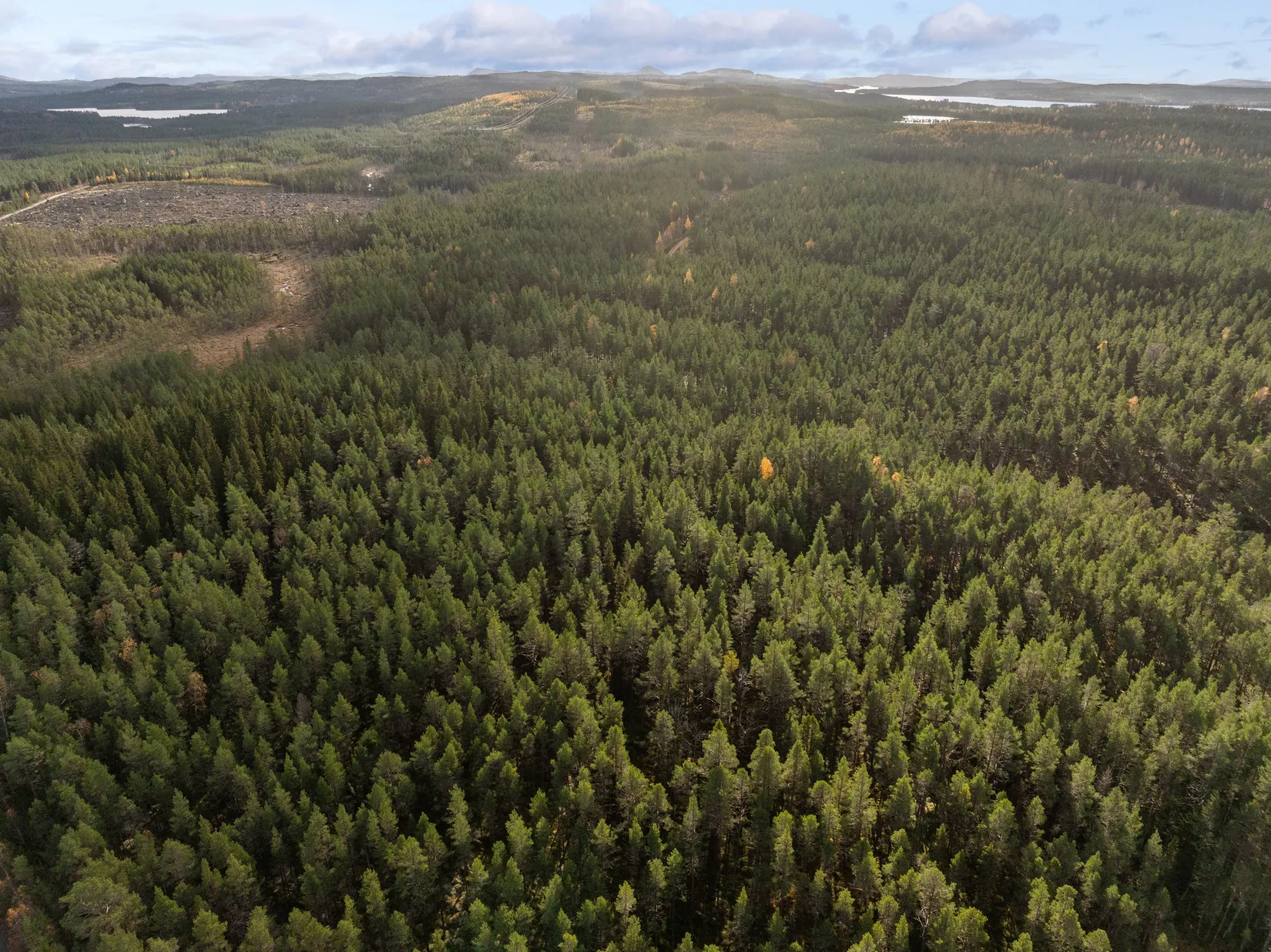 Gård/Skog, Säter 189, Säter, Ånge
