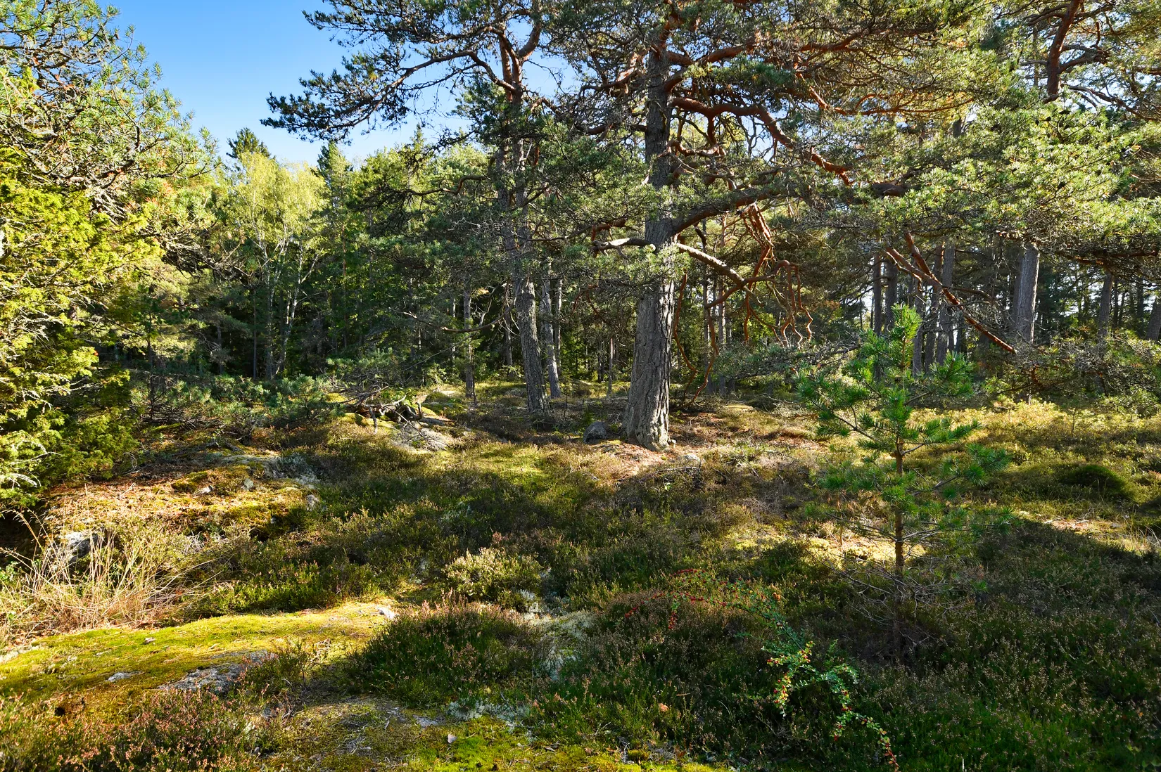 Villa, Mellanstigen 16, Årsta Havsbad, Haninge