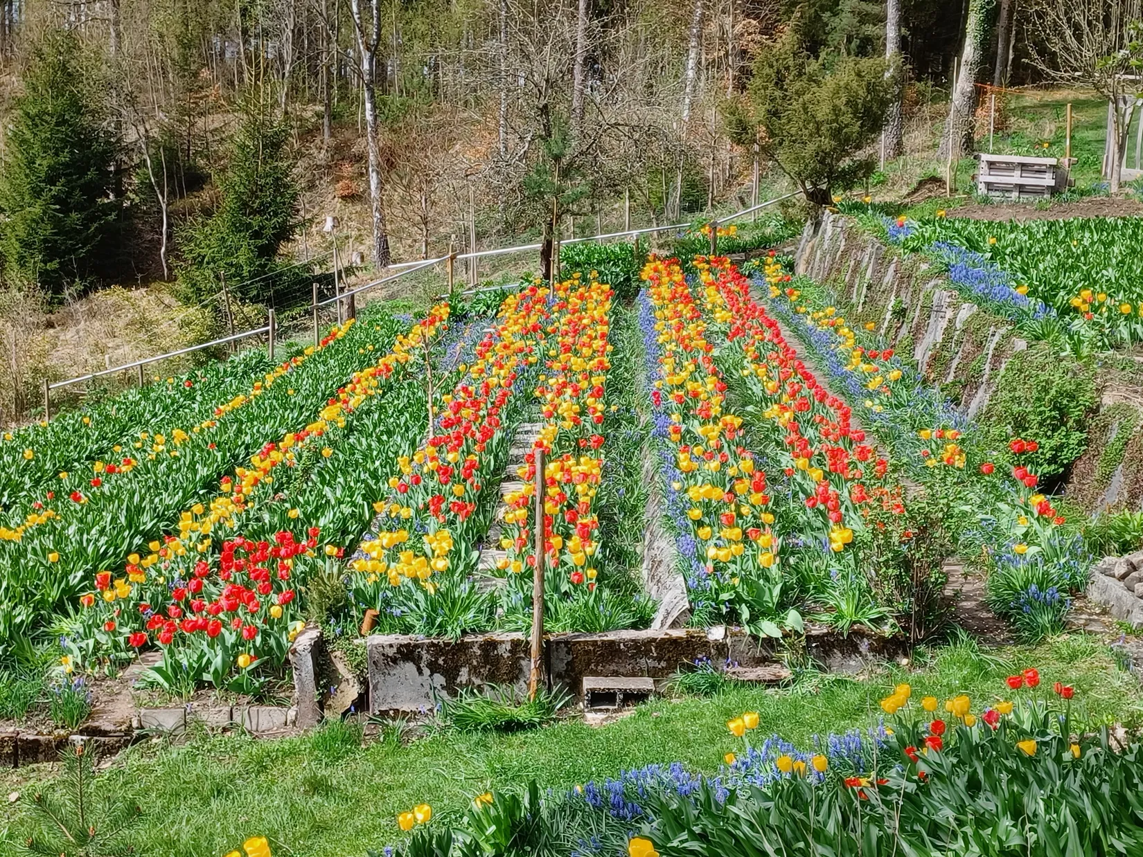 Villa, Hårsjö 5016, Hässleholm