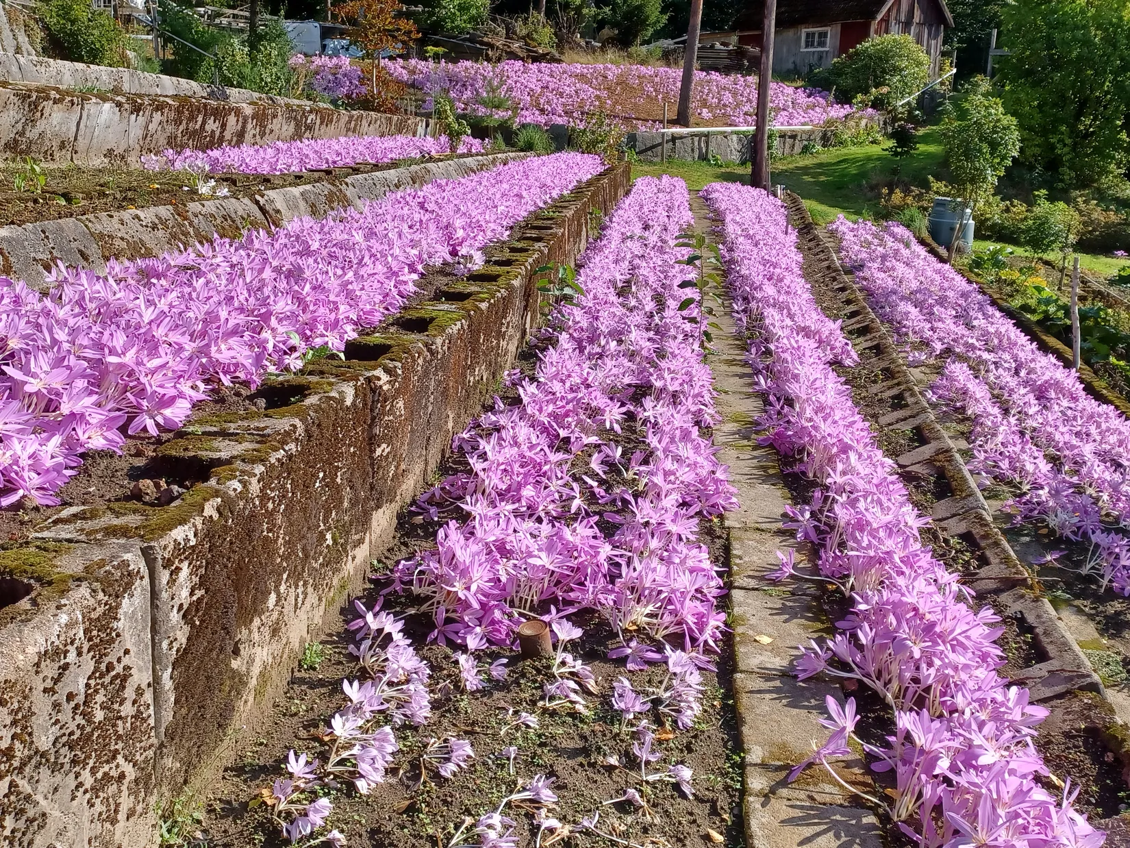 Villa, Hårsjö 5016, Hässleholm