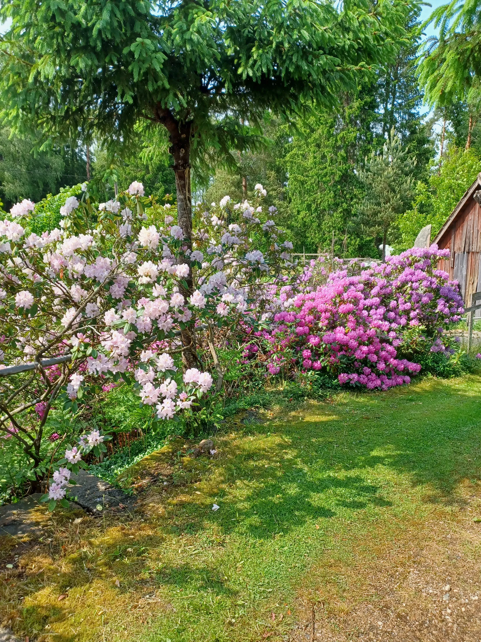 Villa, Hårsjö 5016, Hässleholm