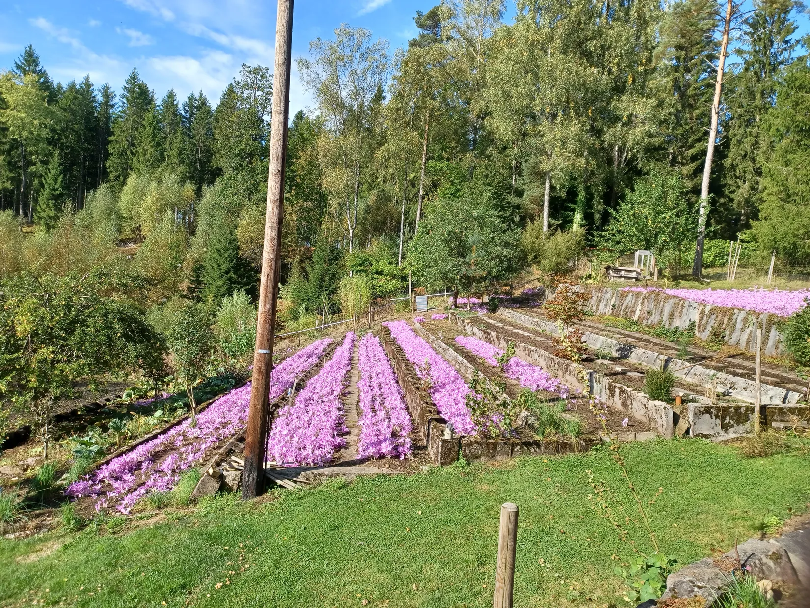 Villa, Hårsjö 5016, Hässleholm