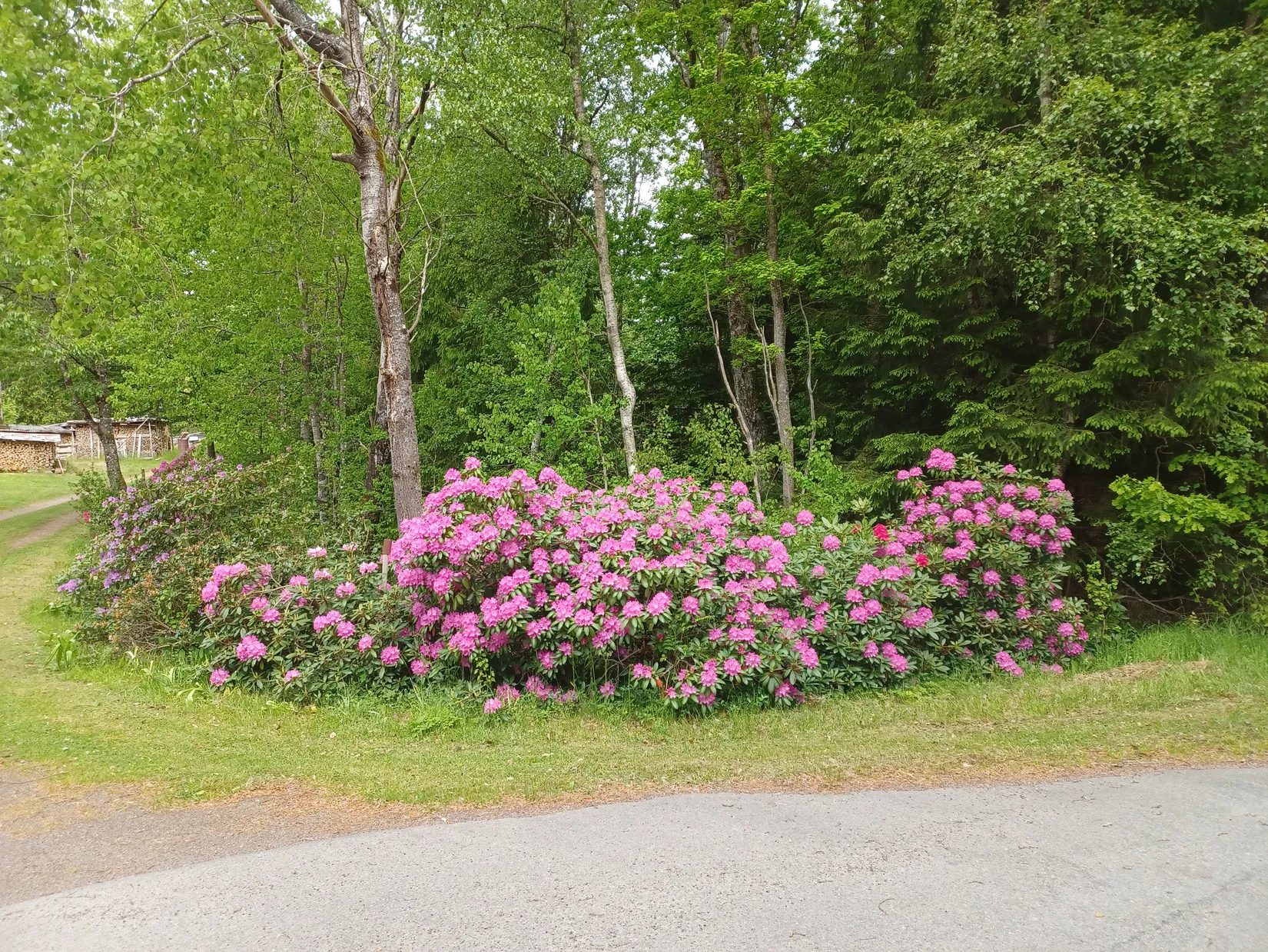 Villa, Hårsjö 5016, Hässleholm