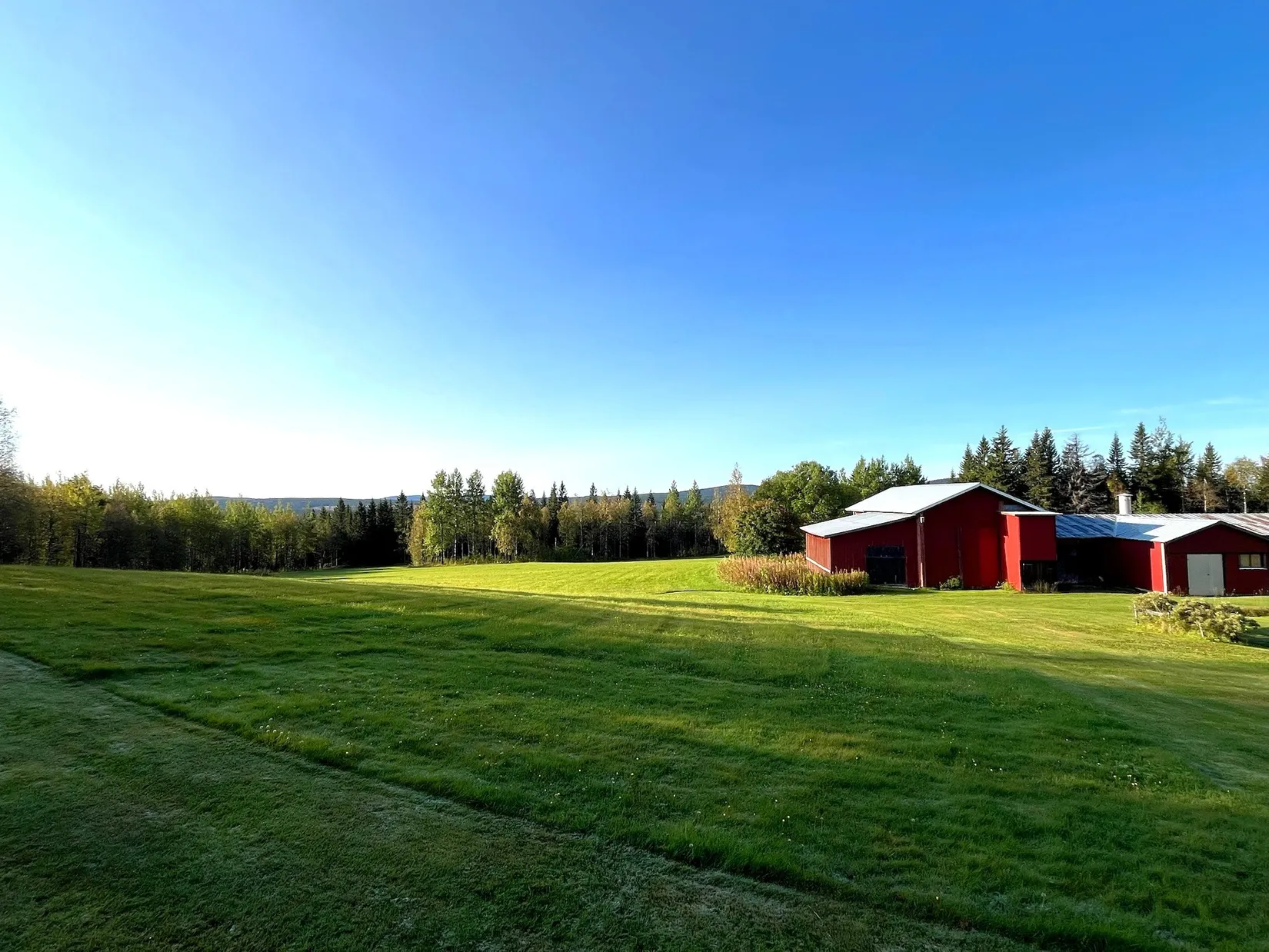 Gård/Skog, Olofs väg 53, Hornmyr, Lycksele