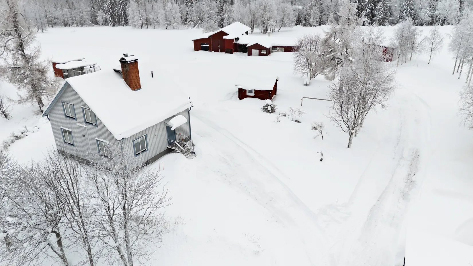 Gård/Skog, Olofs väg 53, Hornmyr, Lycksele