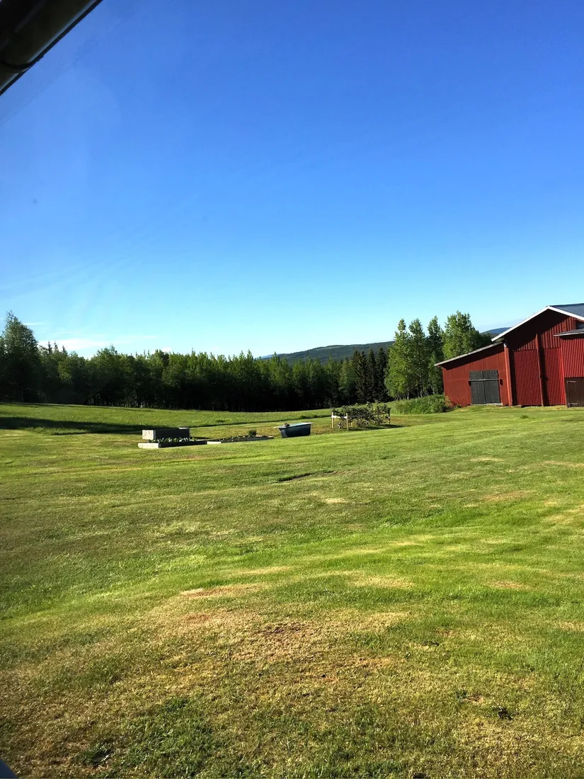 Gård/Skog, Olofs väg 53, Hornmyr, Lycksele