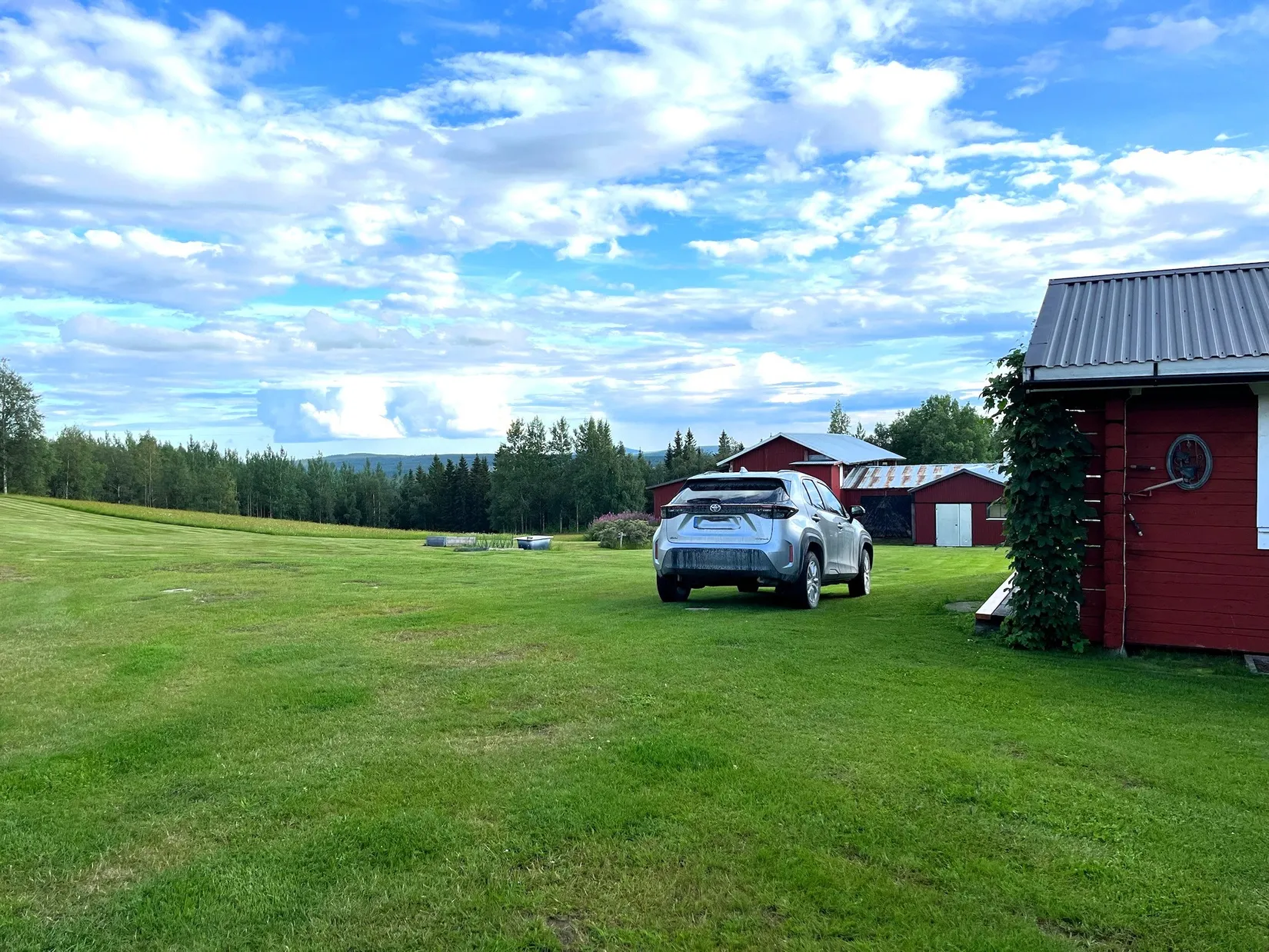Gård/Skog, Olofs väg 53, Hornmyr, Lycksele