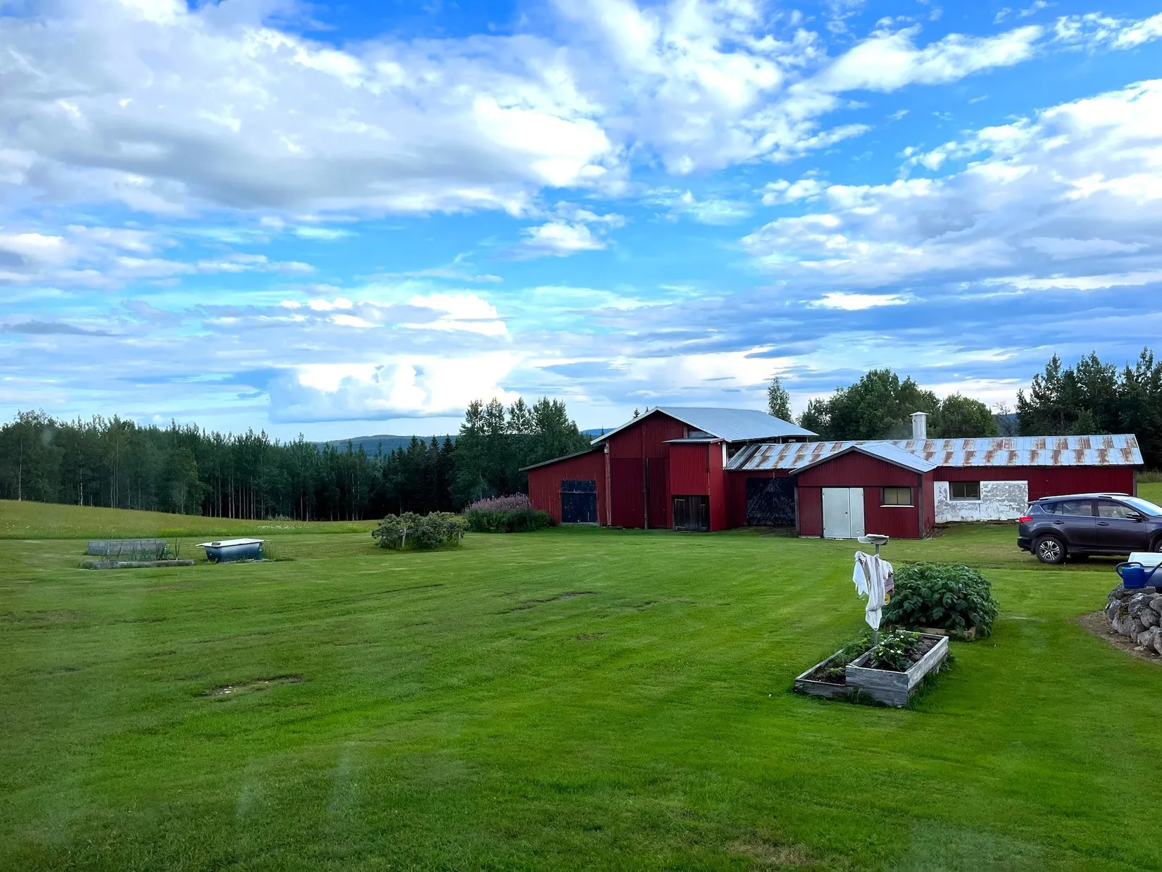 Gård/Skog, Olofs väg 53, Hornmyr, Lycksele