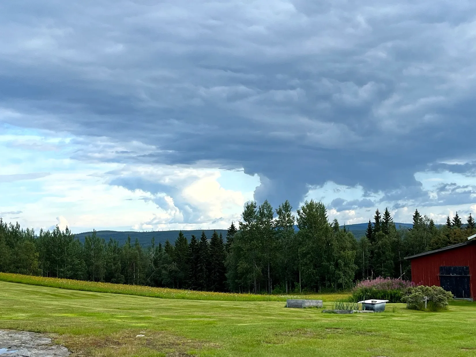 Gård/Skog, Olofs väg 53, Hornmyr, Lycksele