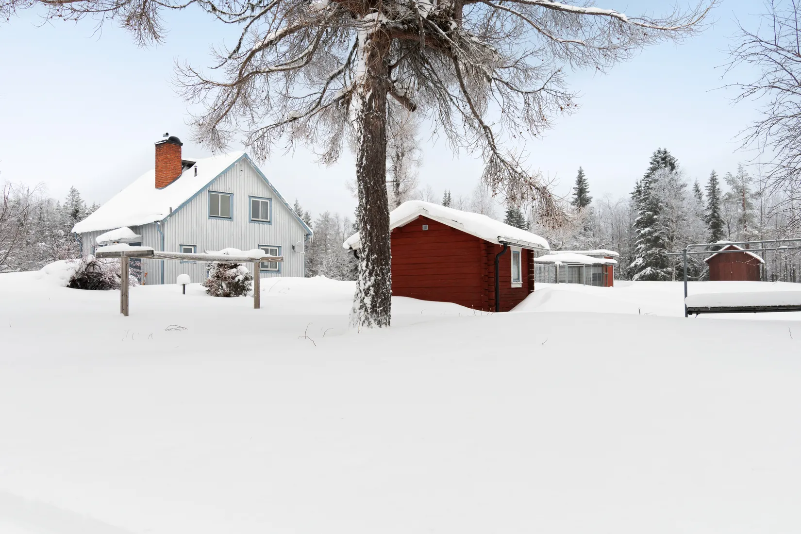 Gård/Skog, Olofs väg 53, Hornmyr, Lycksele
