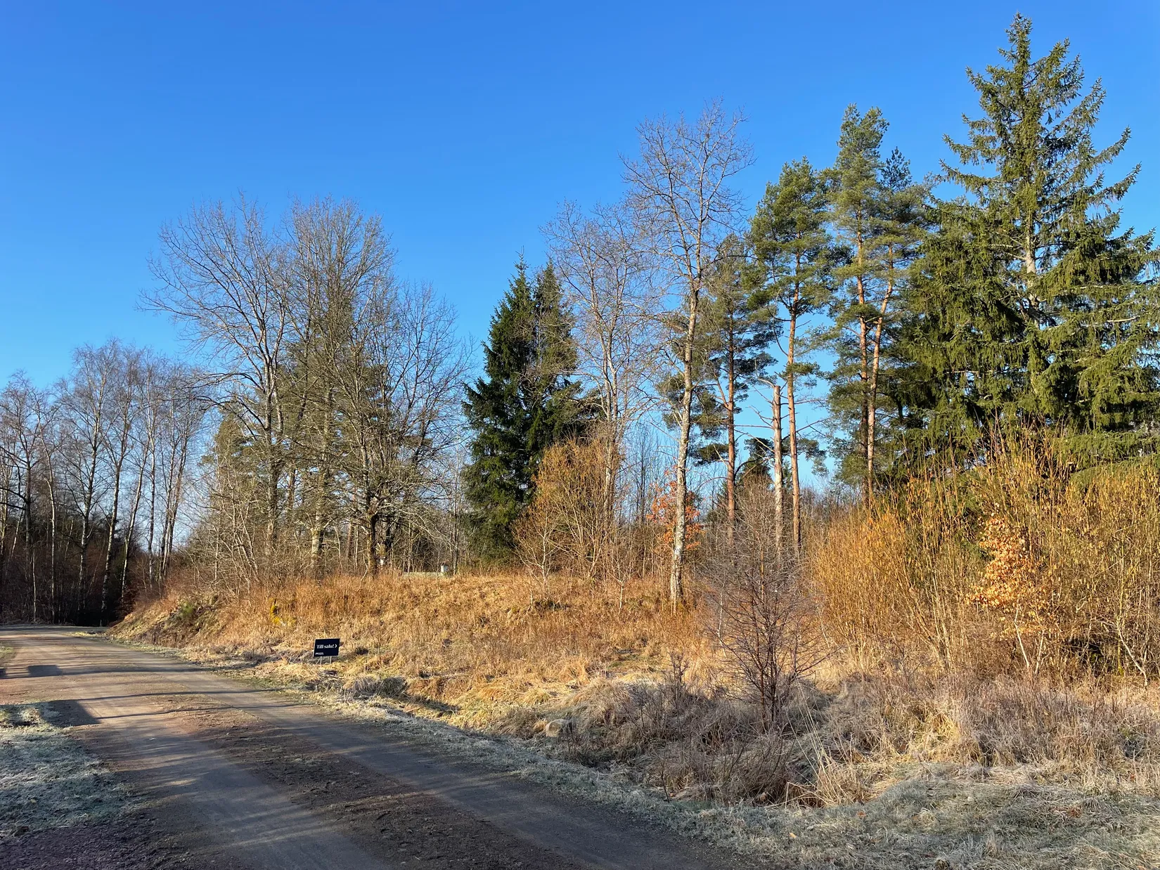 Tomt, Hjortspåret 1, Stavaröd - Sösdala, Hässleholm