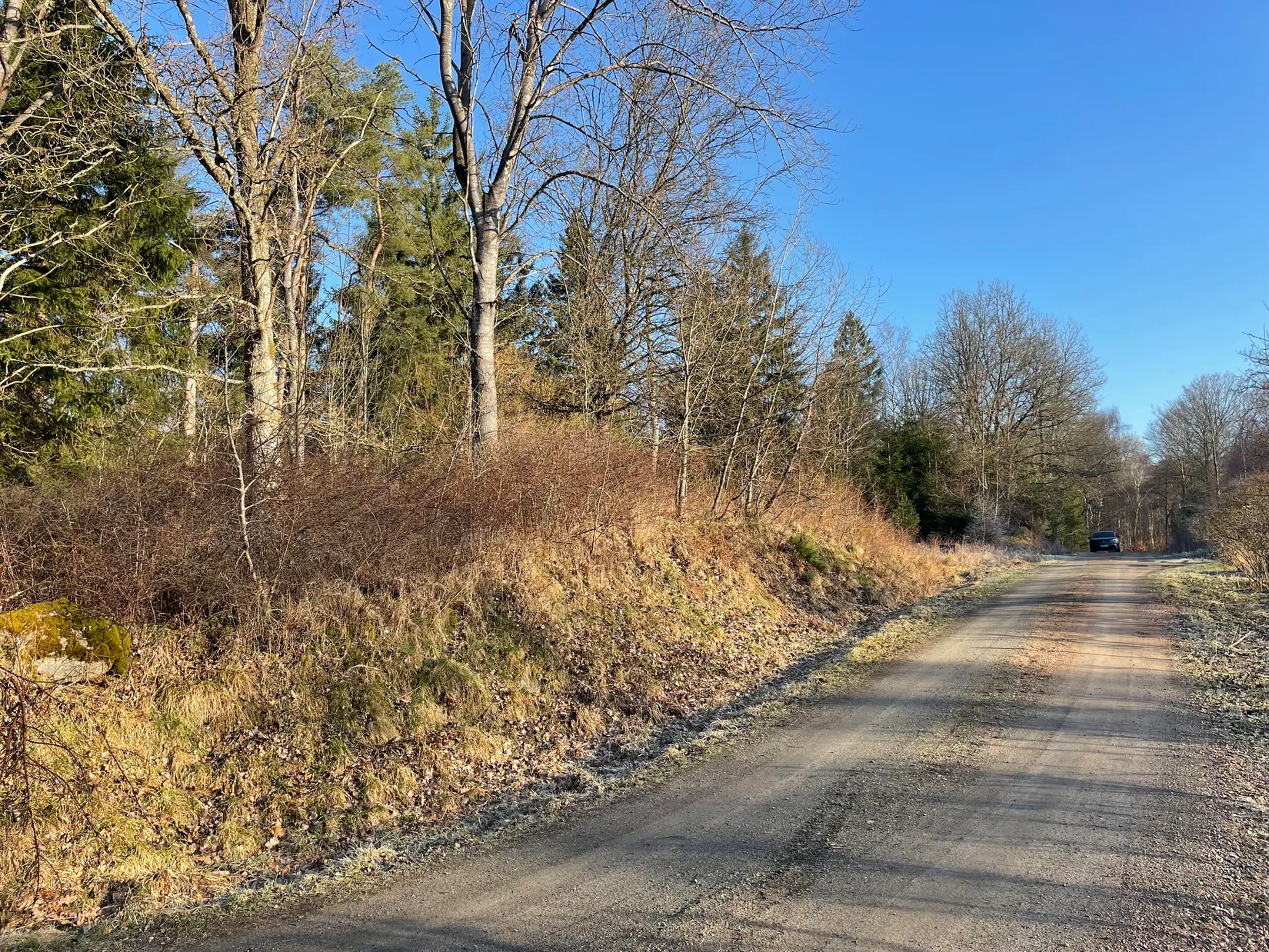 Tomt, Hjortspåret 1, Stavaröd - Sösdala, Hässleholm