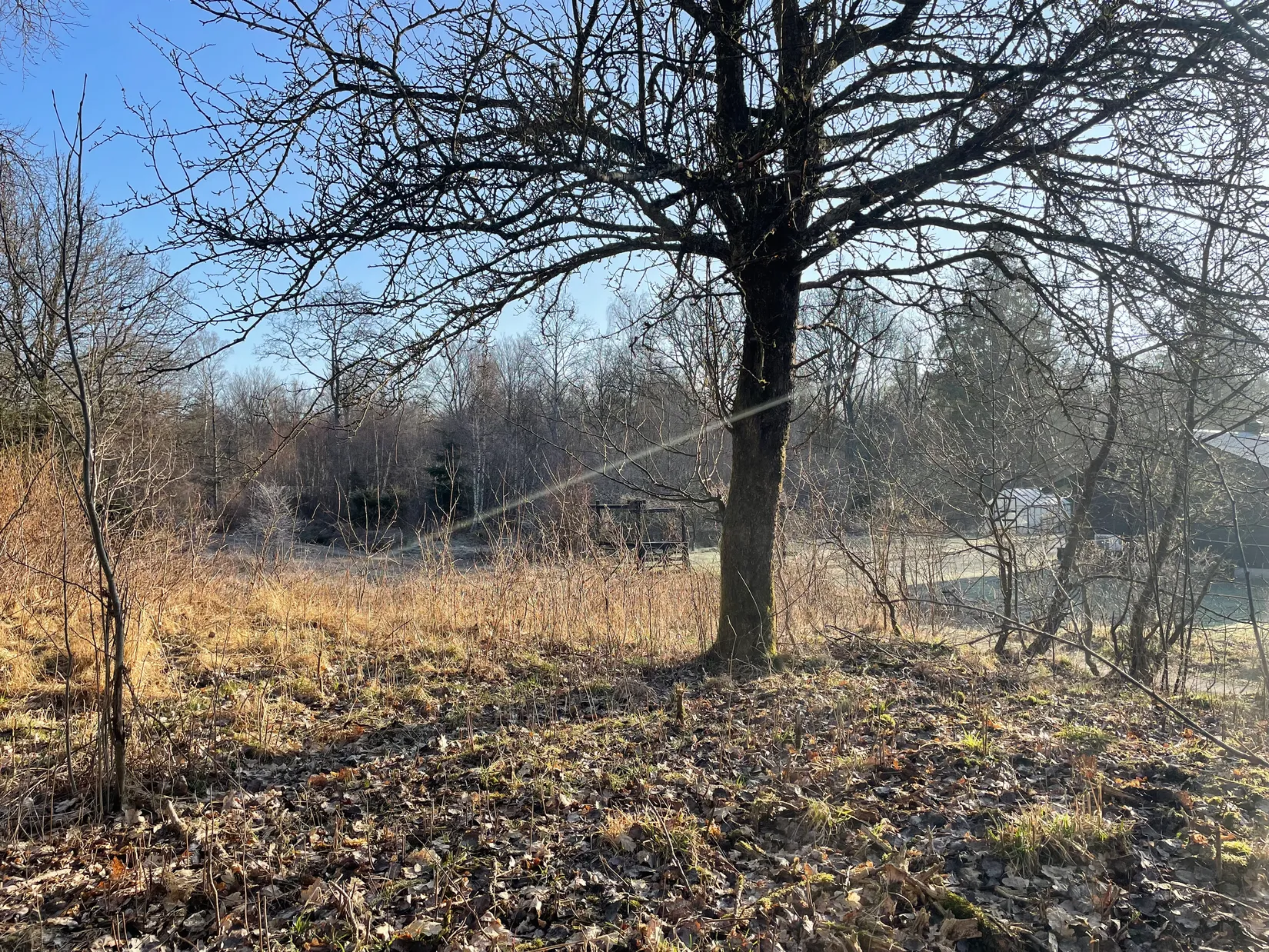 Tomt, Hjortspåret 1, Stavaröd - Sösdala, Hässleholm