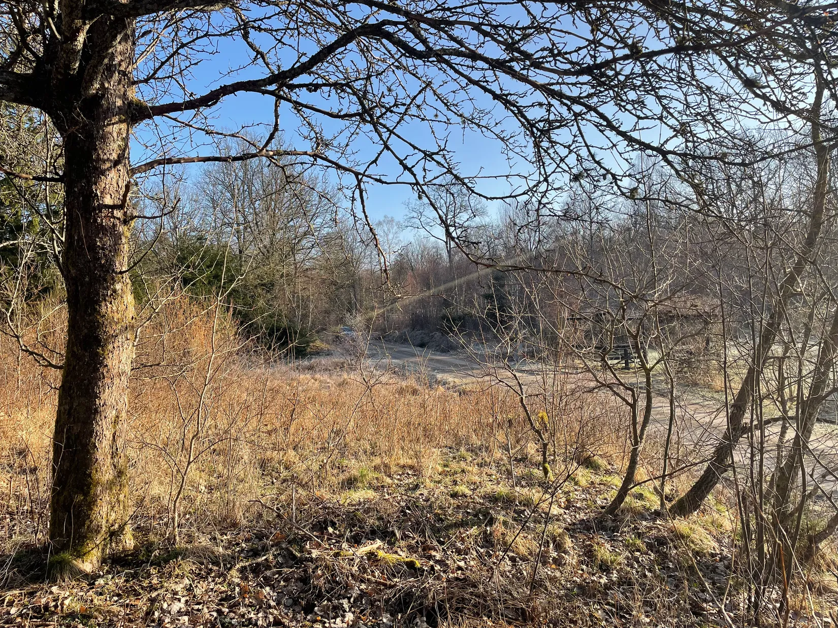 Tomt, Hjortspåret 1, Stavaröd - Sösdala, Hässleholm