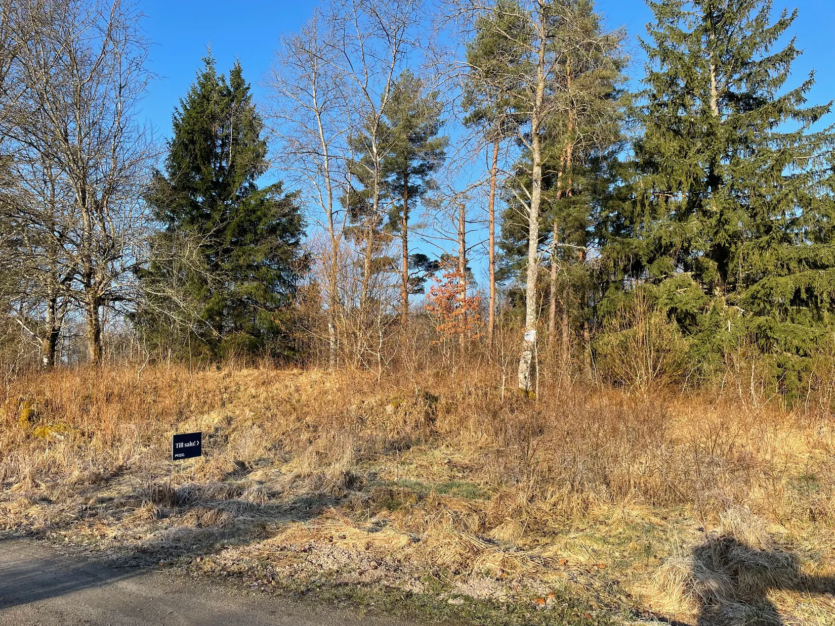 Tomt, Hjortspåret 1, Stavaröd - Sösdala, Hässleholm