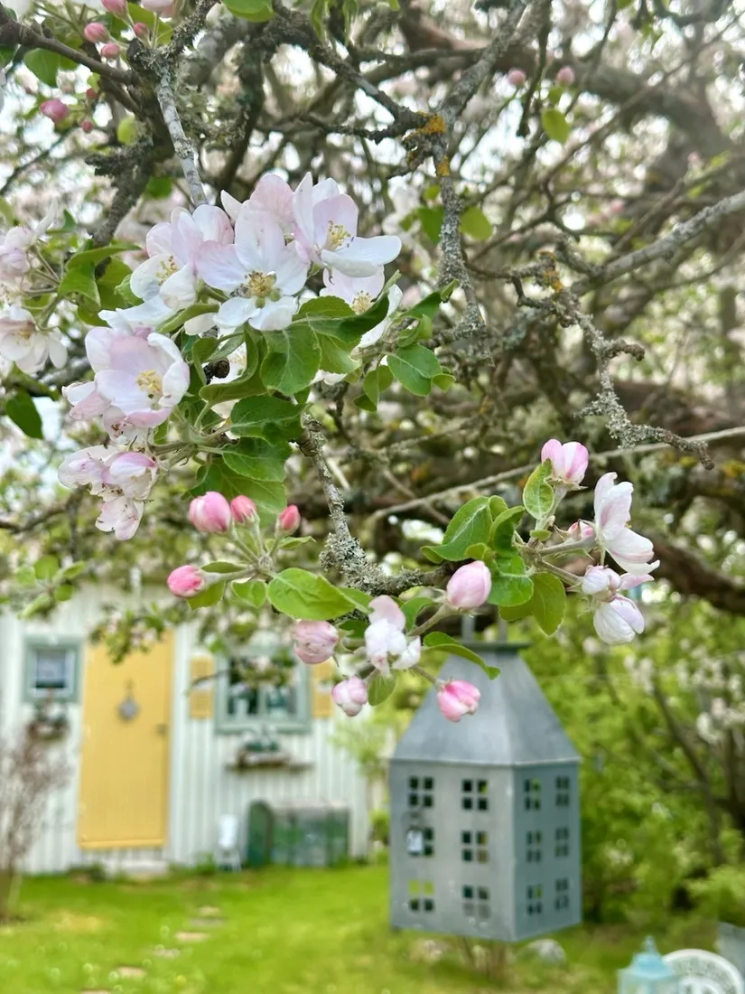 Villa, Fasanvägen 2, Märsta - Ekilla, Sigtuna