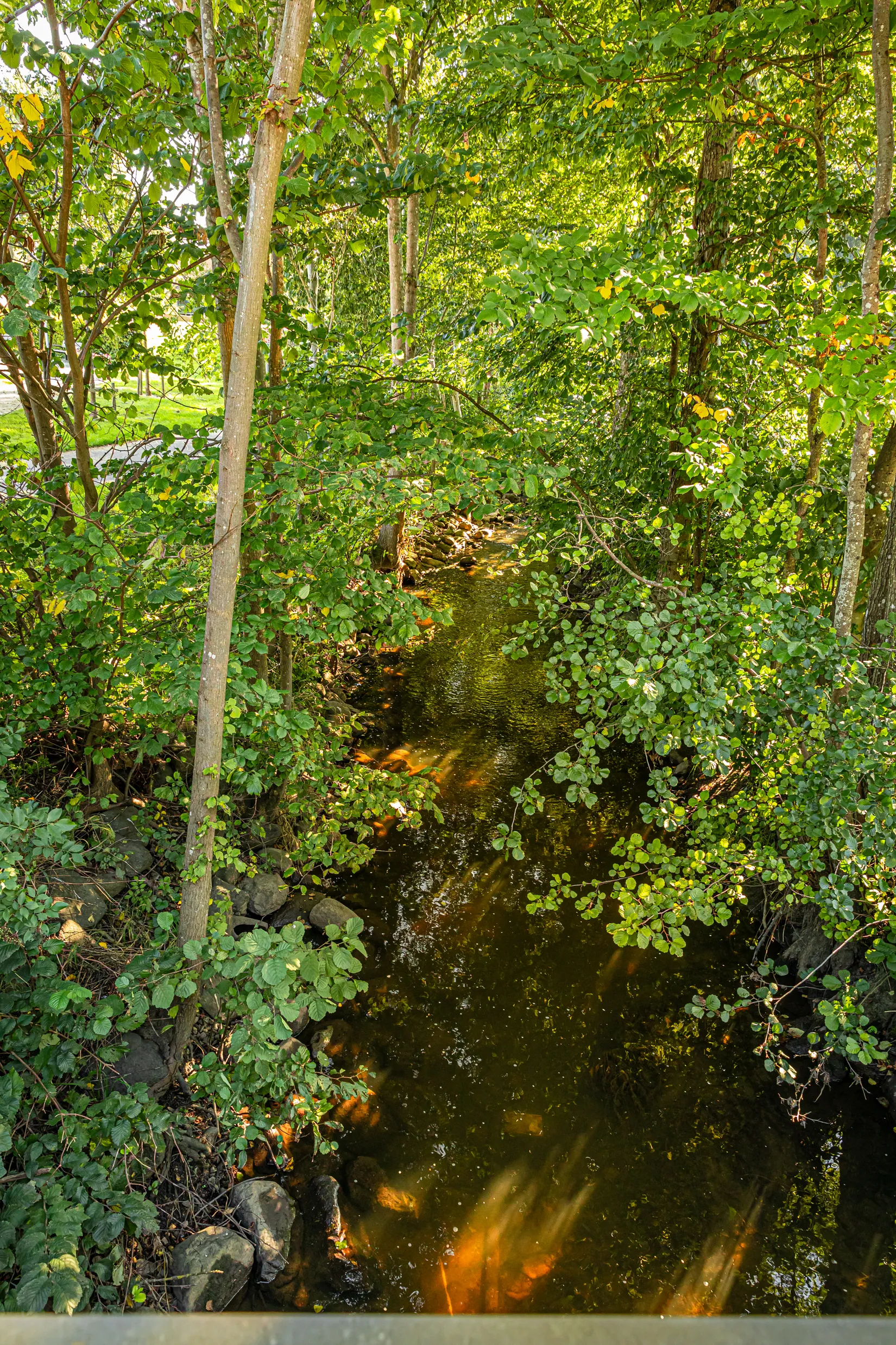 Bostadsrätt, Backgatan 81, Södra Sandby, Lund