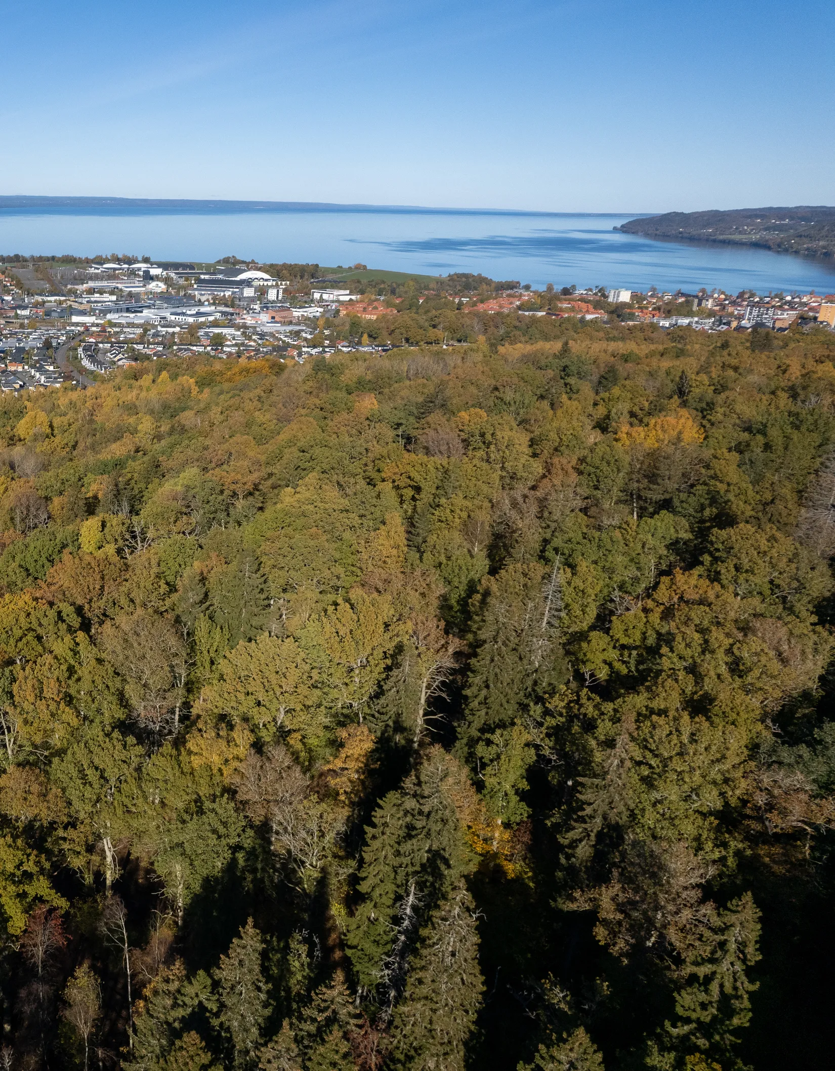 Bostadsrätt, Tellusgatan 9, Kungsängen, Jönköping