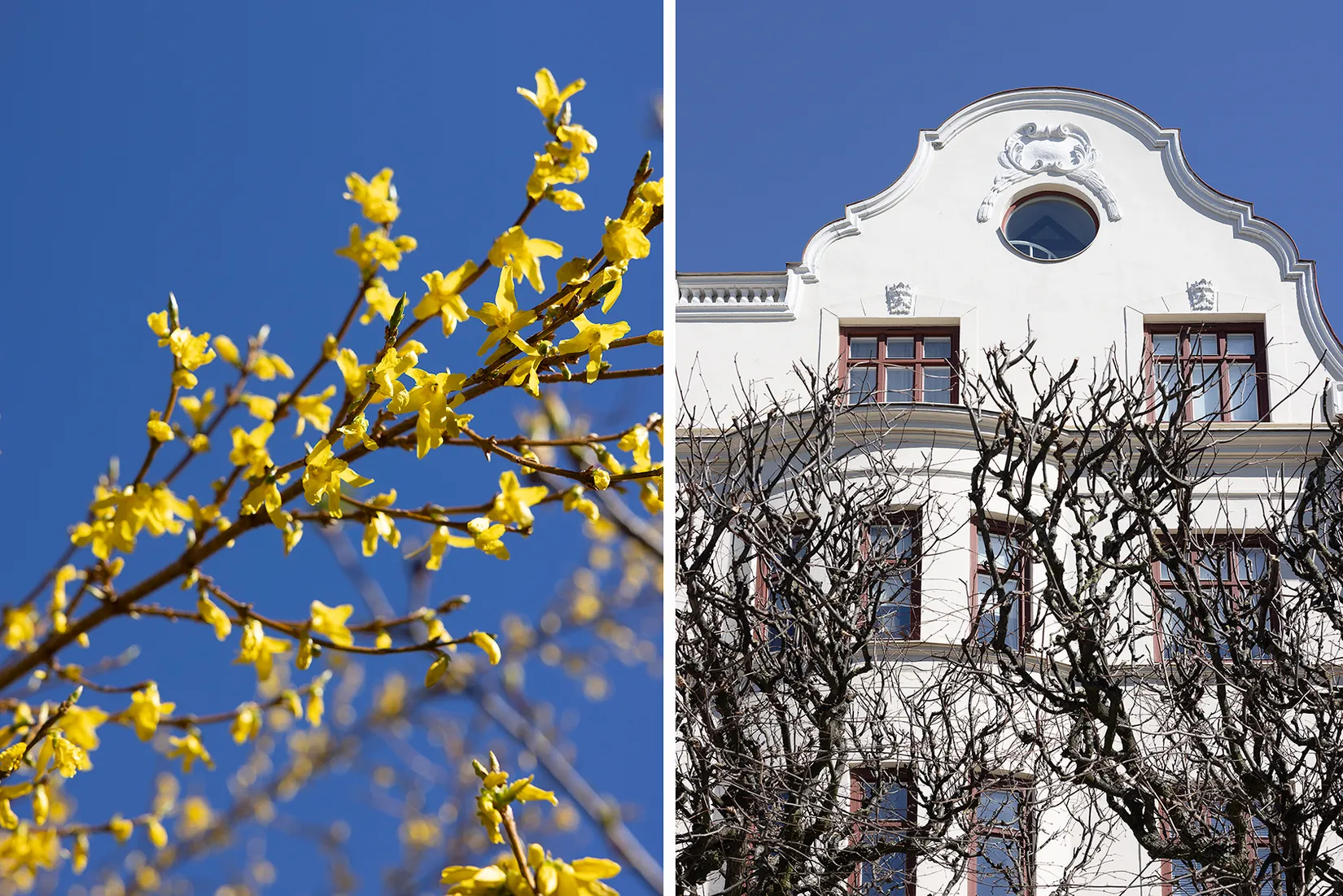 Bostadsrätt, S:t Pauli kyrkogata 14, Rörsjöstaden, Malmö