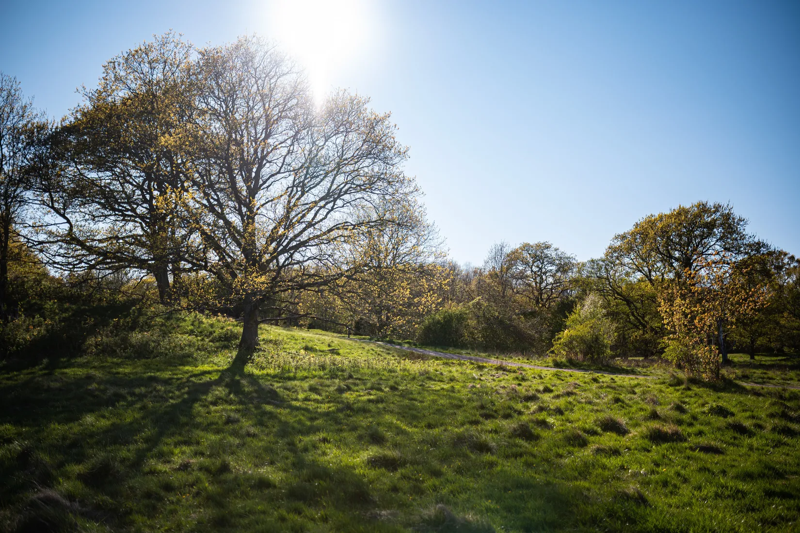 Bostadsrätt, Björklundavägen 38, Nya Hovås, Göteborg