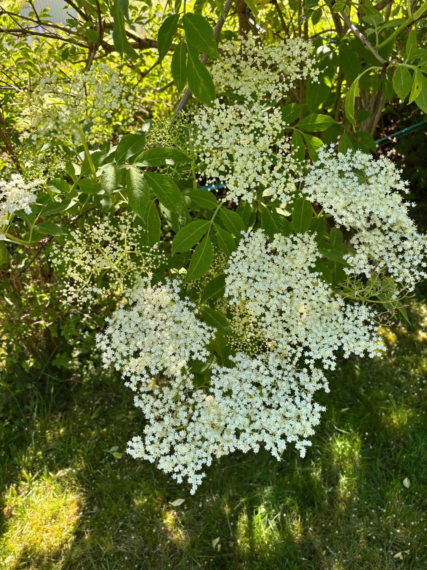 Villa, Utmålsvägen 1, Herräng, Norrtälje