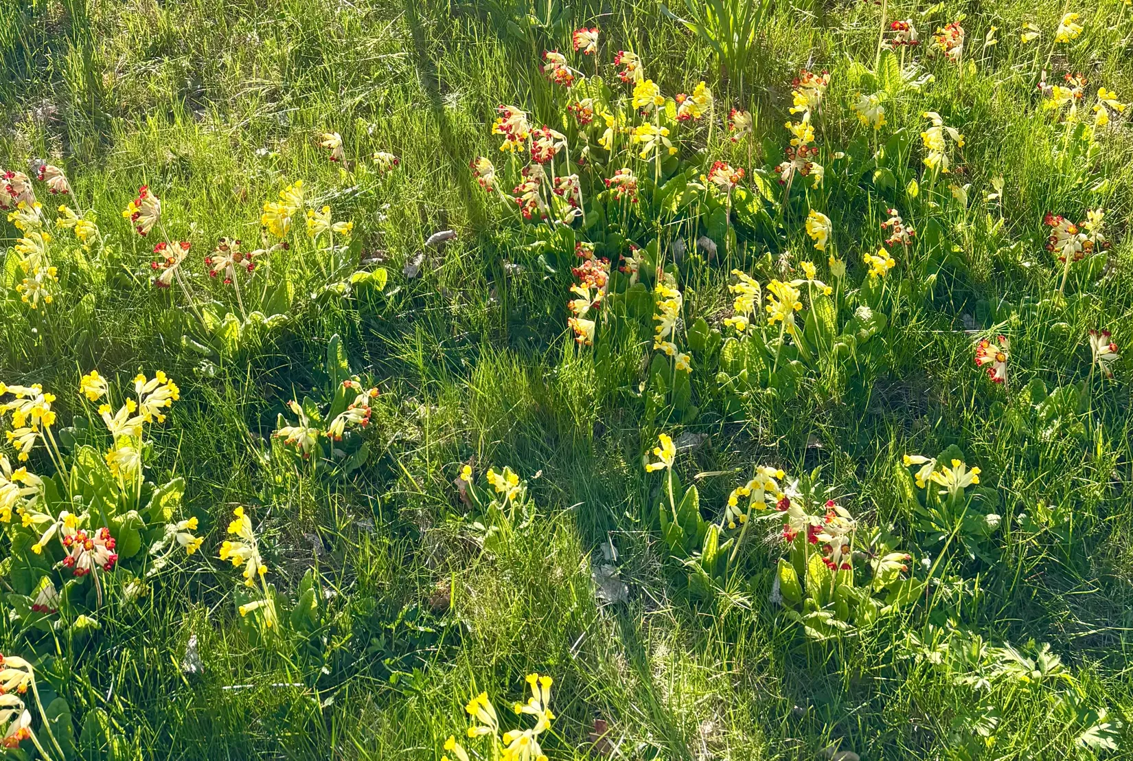 Villa, Utmålsvägen 1, Herräng, Norrtälje