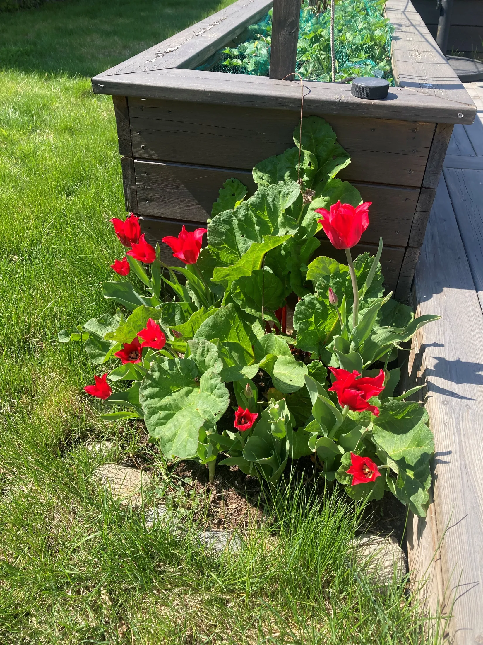 Bostadsrätt, Radhus, Telefongränd 8B, Högmora, Huddinge