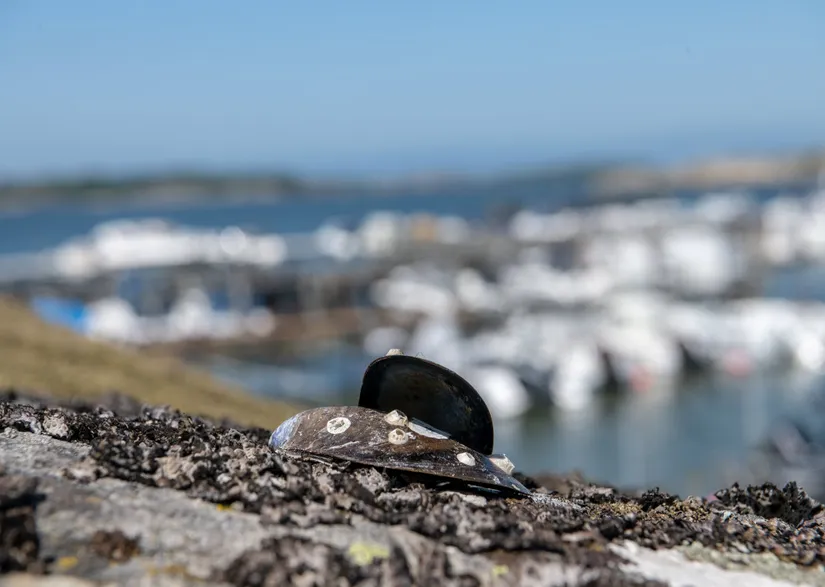 Villa, Skiljedalsvägen 41, Torslanda - Tumlehed, Göteborg