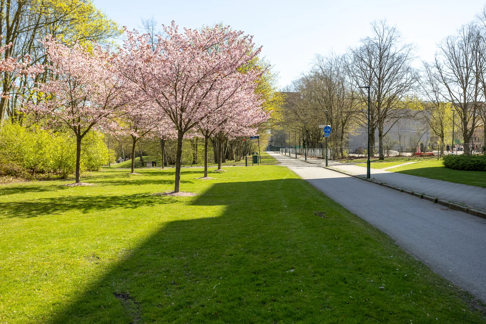 Bostadsrätt, Serenadgatan 58, Malmö