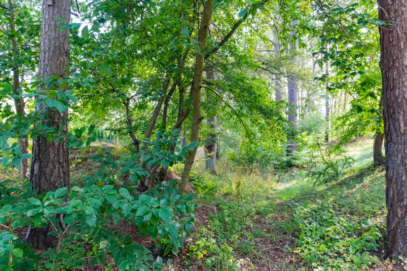 Bostadsrätt, Gavelvägen 3, Lidingö