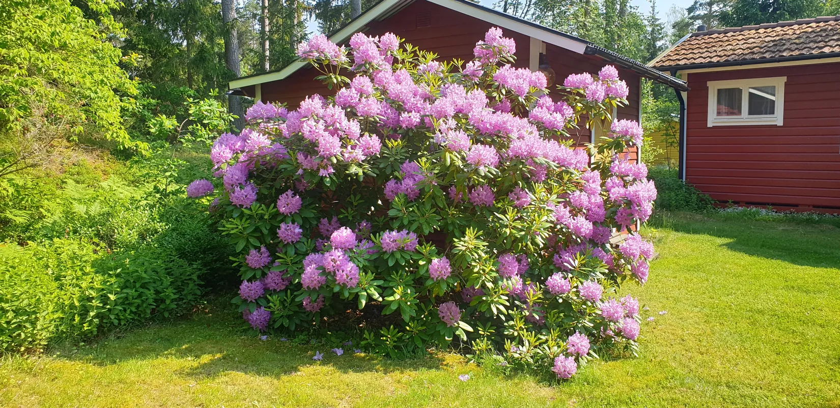 Fritidshus, Tallholmsvägen 11, Marum, Norrtälje