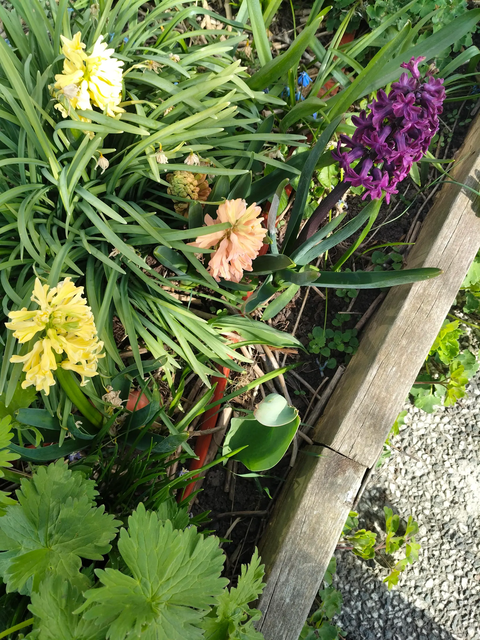 Fritidshus, Kolonistuga Päronvägen 229, Emmalund, Linköping