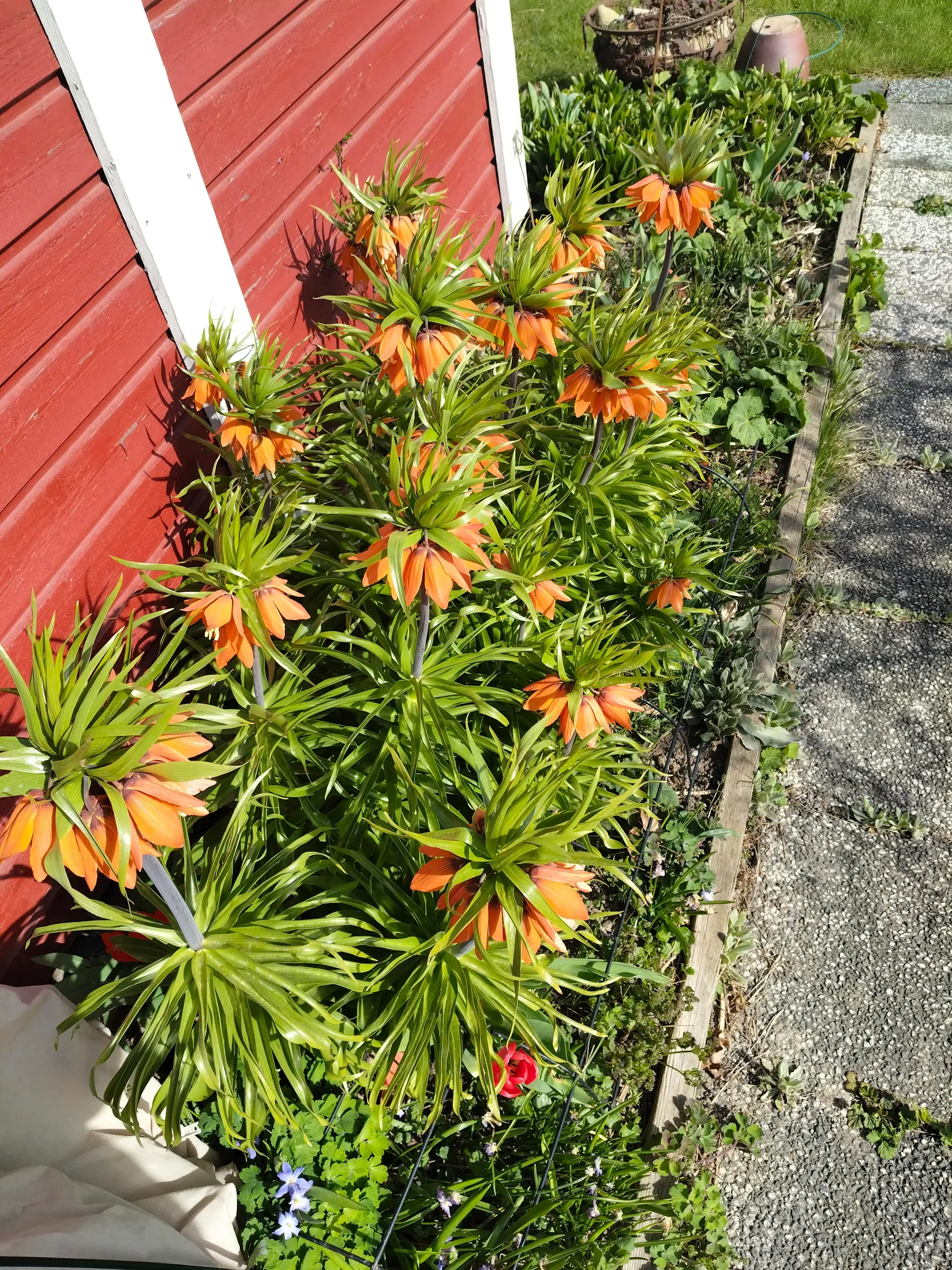 Fritidshus, Kolonistuga Päronvägen 229, Emmalund, Linköping