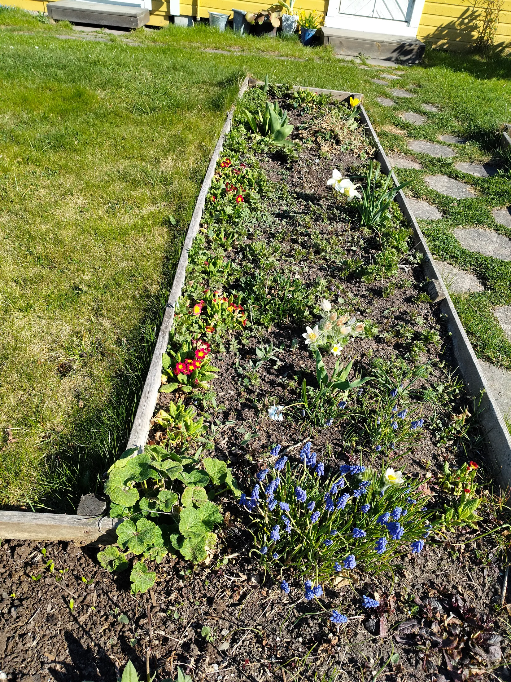 Fritidshus, Kolonistuga Päronvägen 229, Emmalund, Linköping