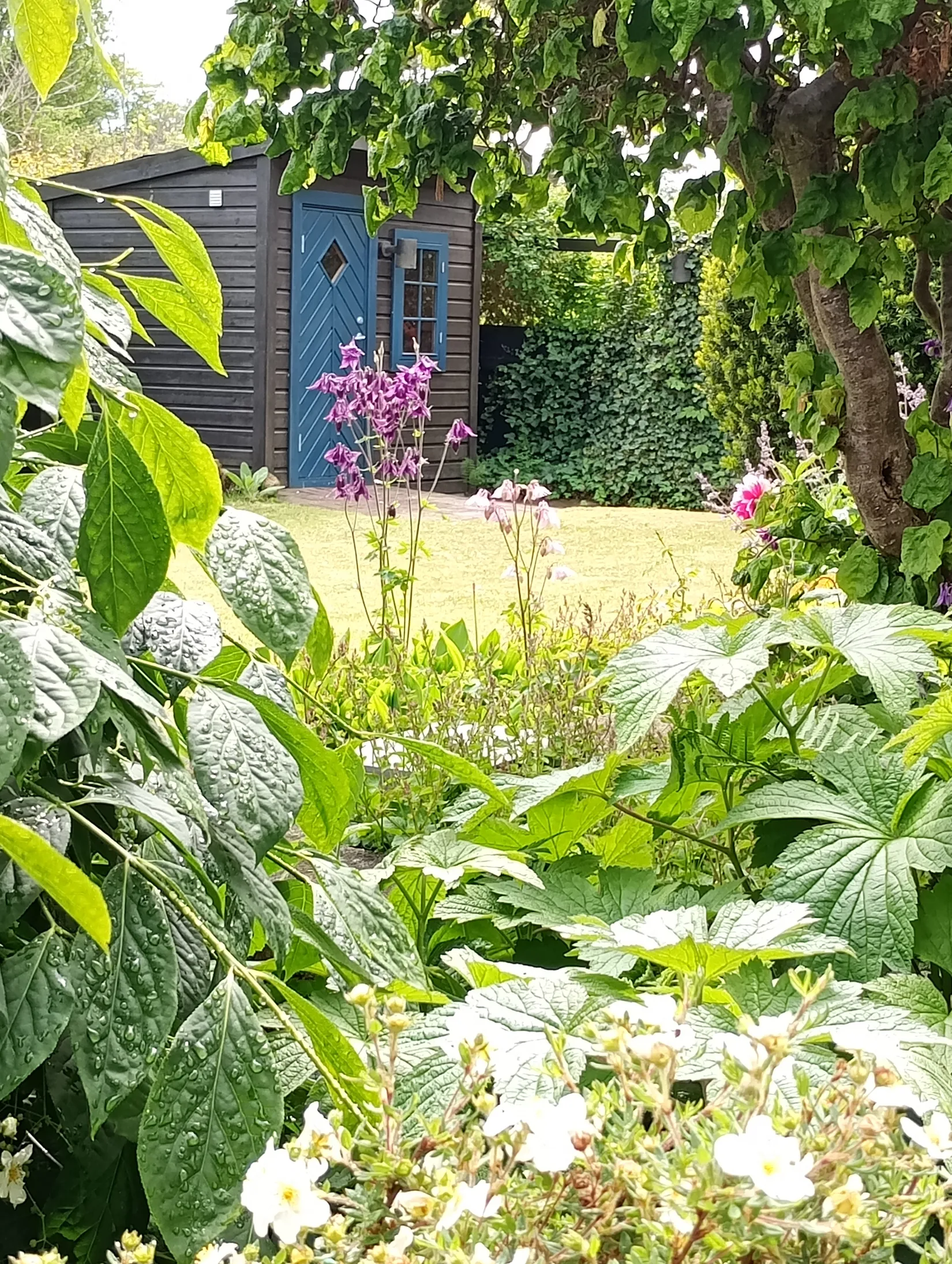 Villa, Sjögatan 17B, Centralt ,  Å-tomt, Kristianstad