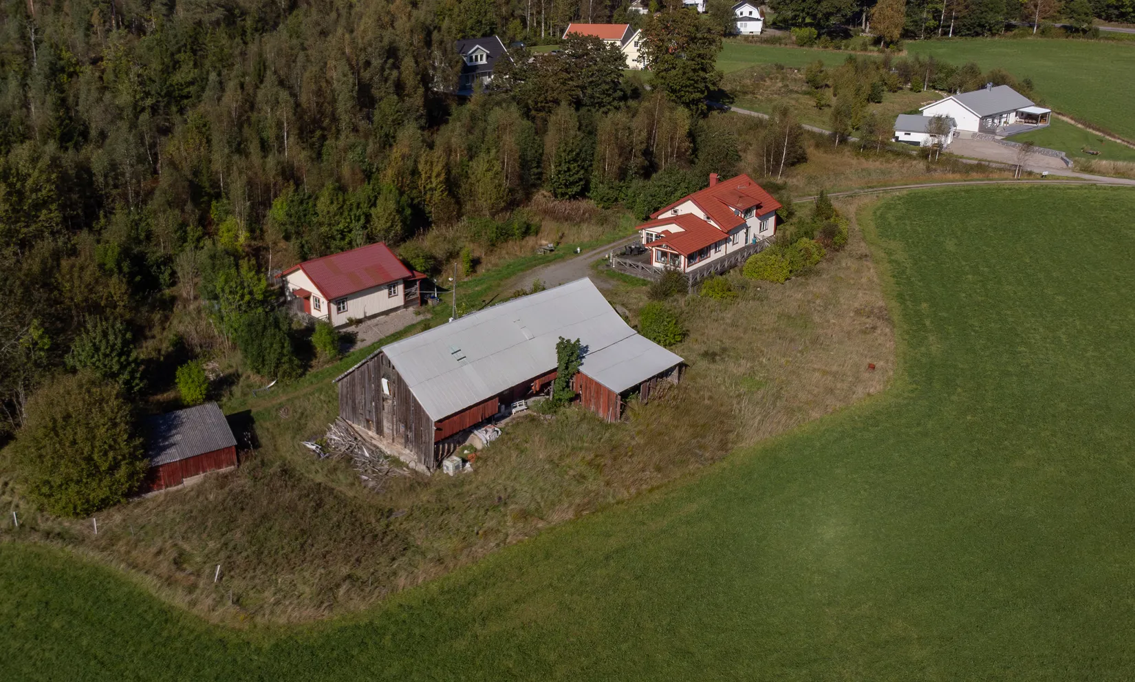 Gård/Skog, Lekvall 241, Lilla Edet