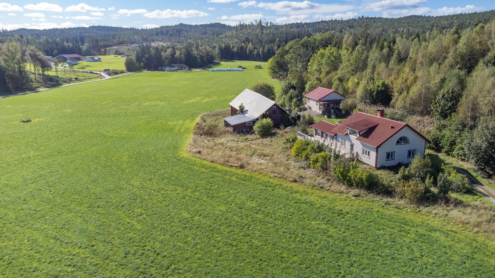 Gård/Skog, Lekvall 241, Lilla Edet