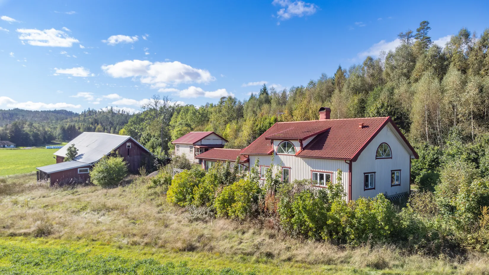Gård/Skog, Lekvall 241, Lilla Edet