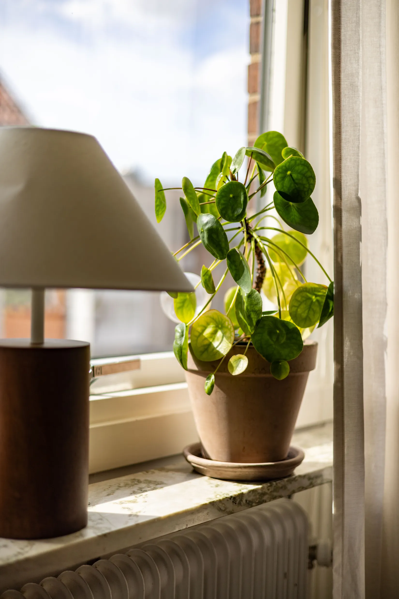 Bostadsrätt, Karl XI:s Väg 23, Centrum, Halmstad