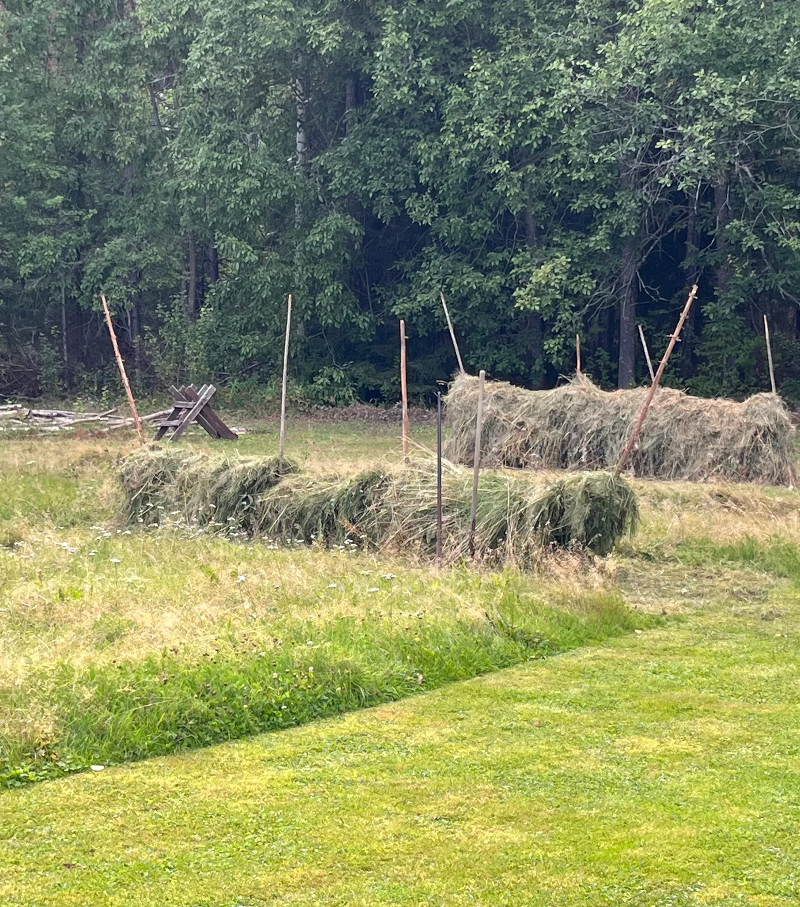 Fritidshus, Hovra Inibyvägen 34 & 54, Färila, Korskrogen, Ljusdal